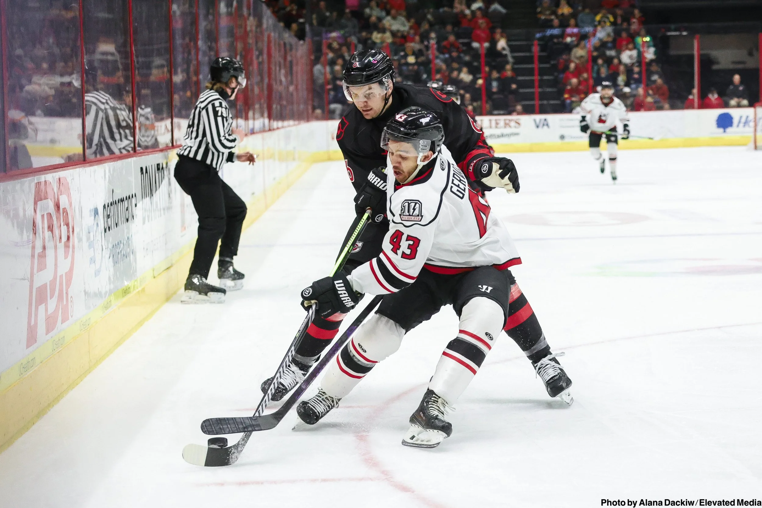   Alana Dackiw, Elevated Media  