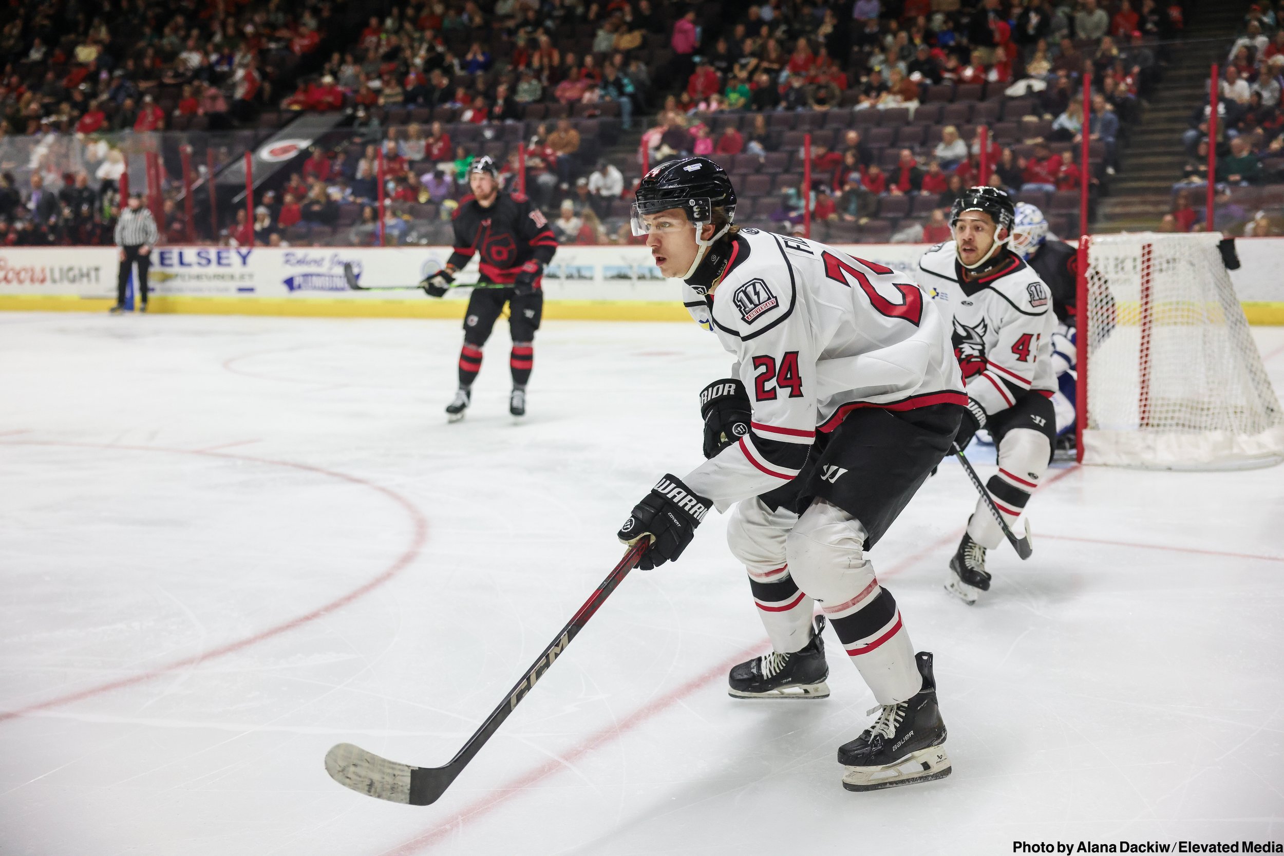   Alana Dackiw, Elevated Media  