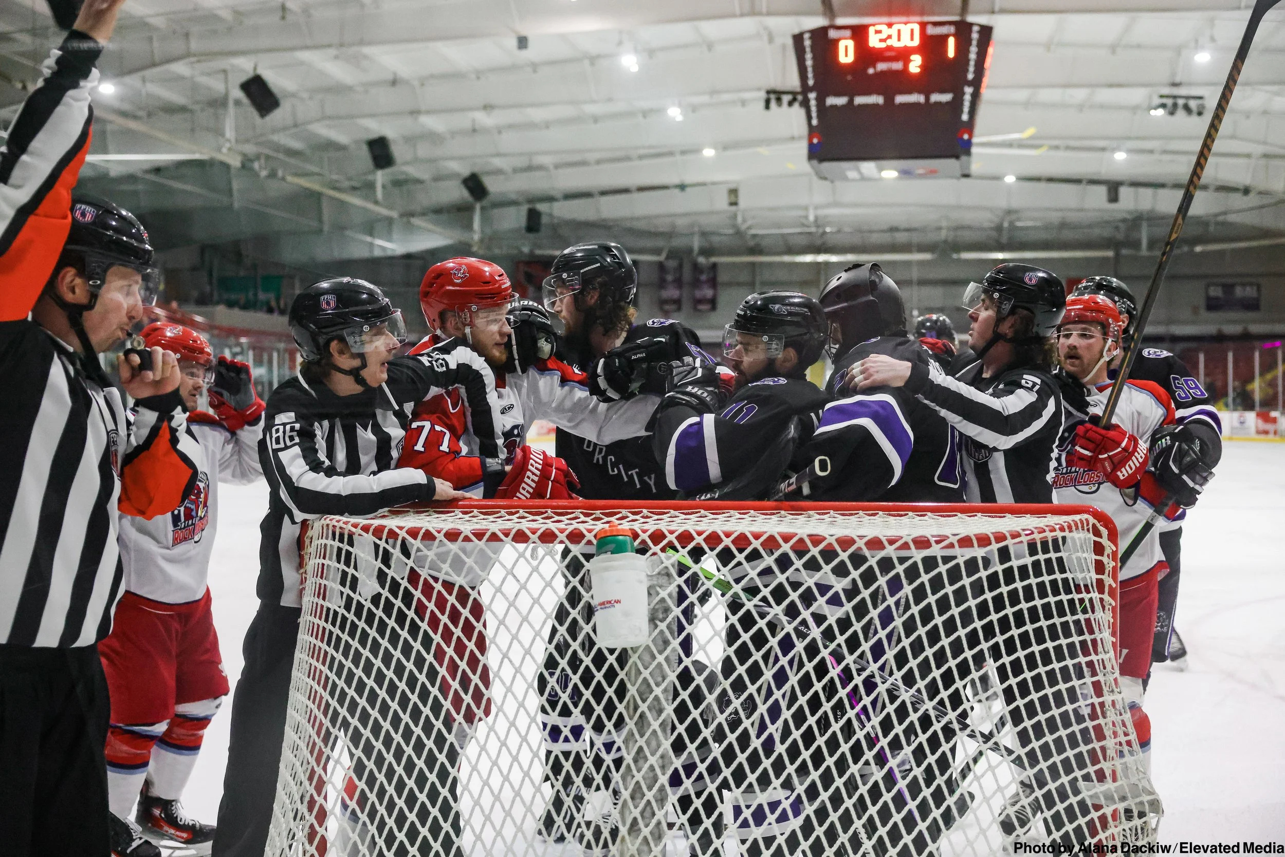   Alana Dackiw, Elevated Media  