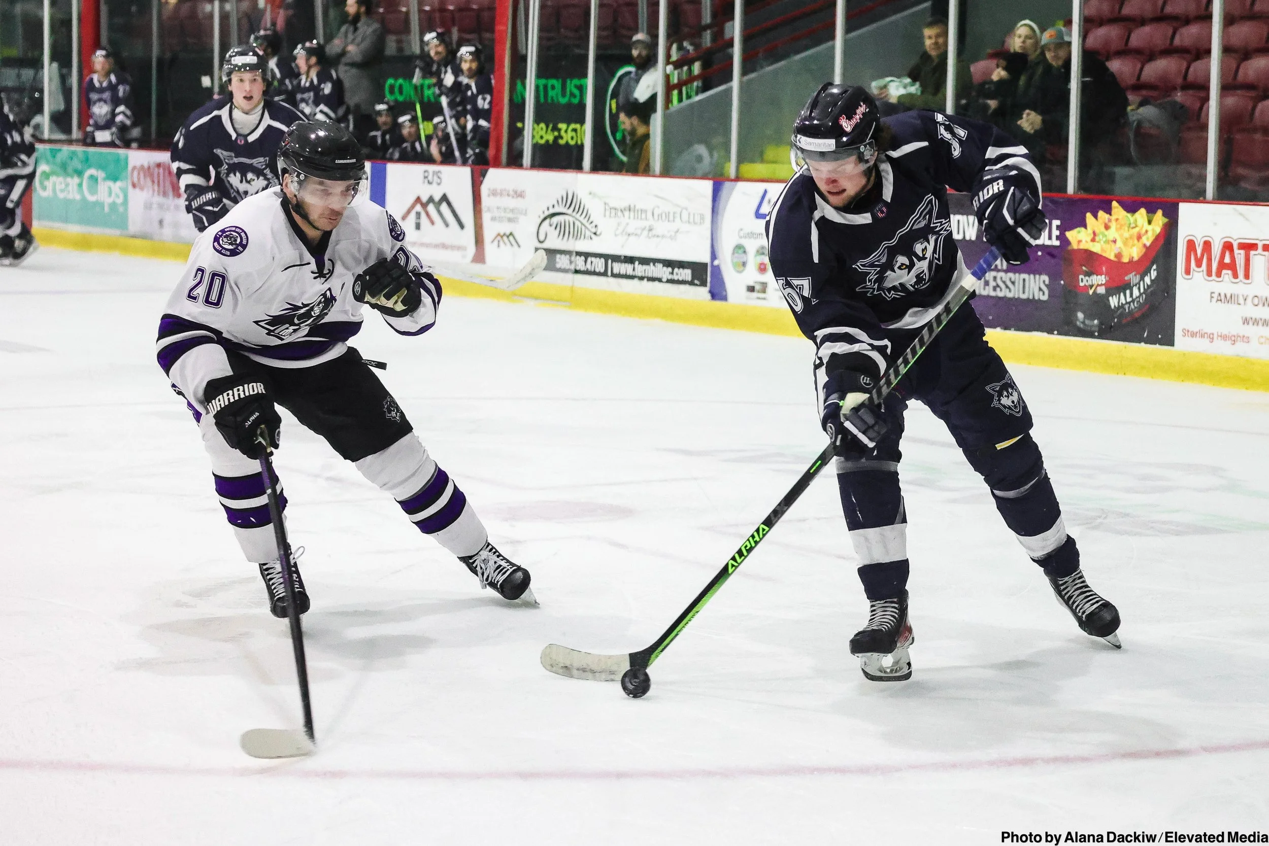   Alana Dackiw, Elevated Media  