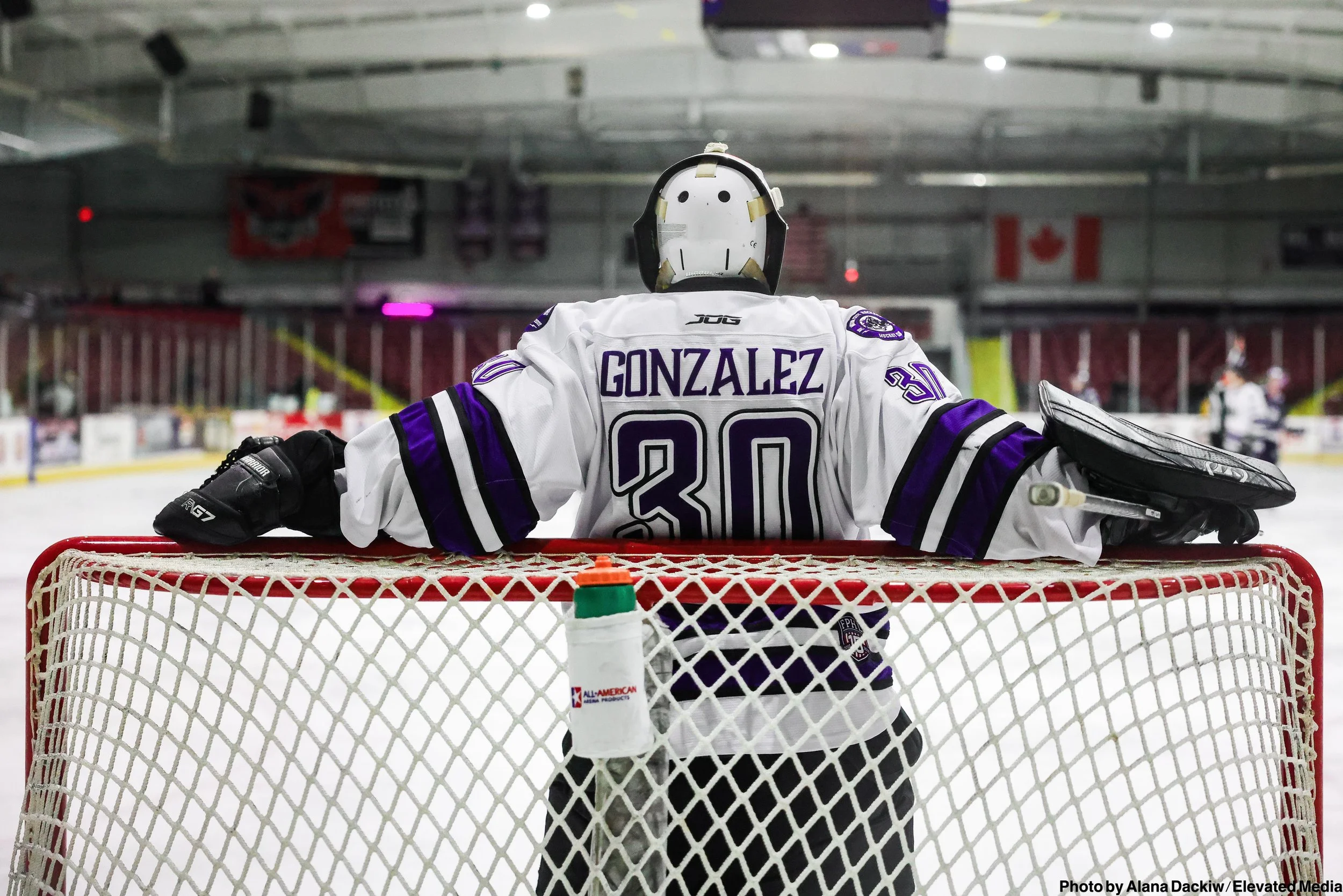   Alana Dackiw, Elevated Media  