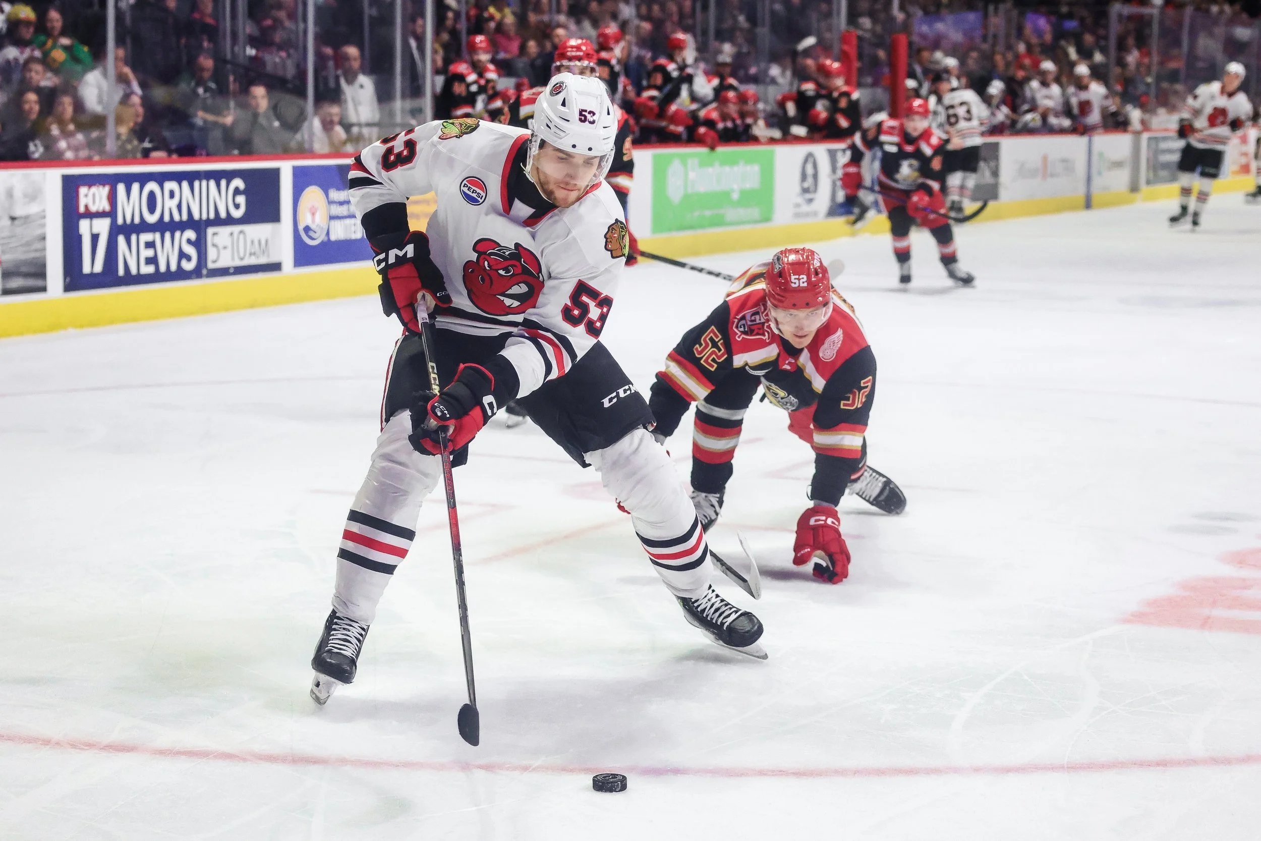   Alana Dackiw, Elevated Media  