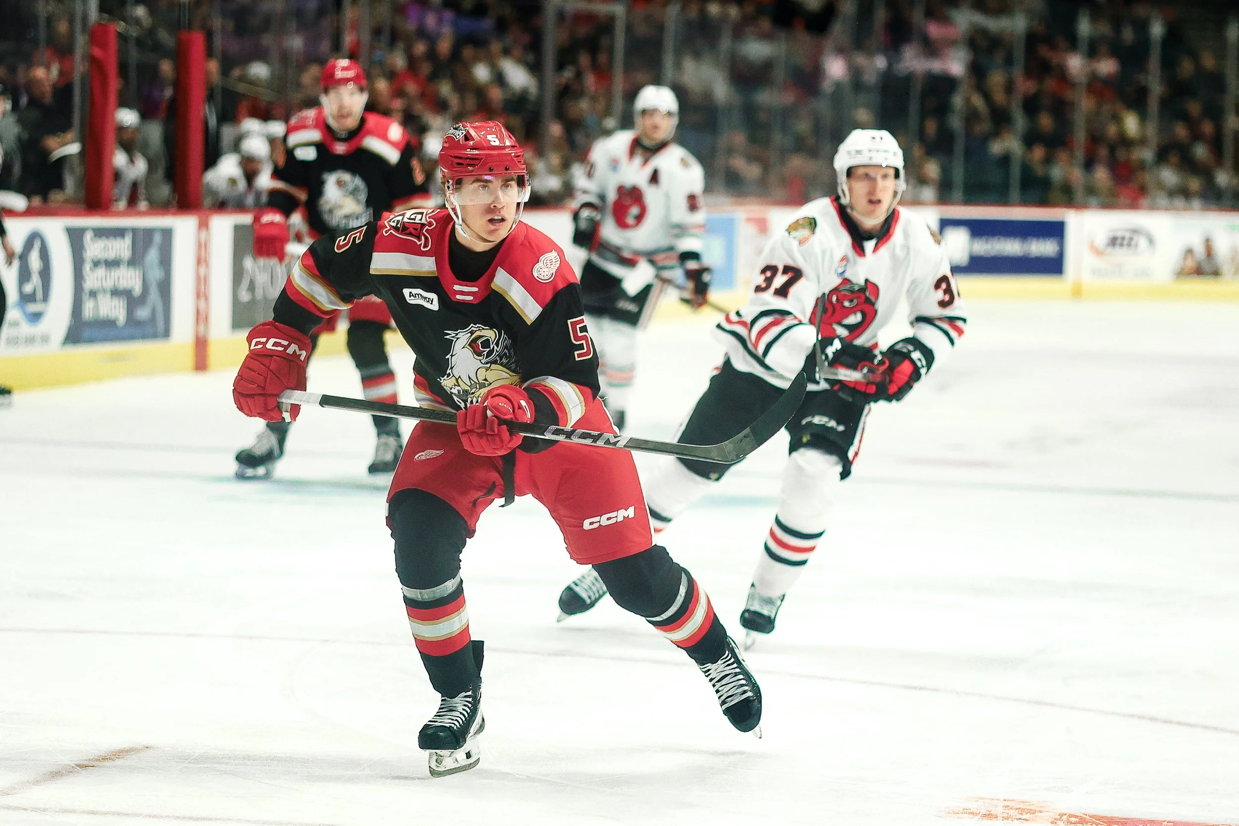   Alana Dackiw, Elevated Media  