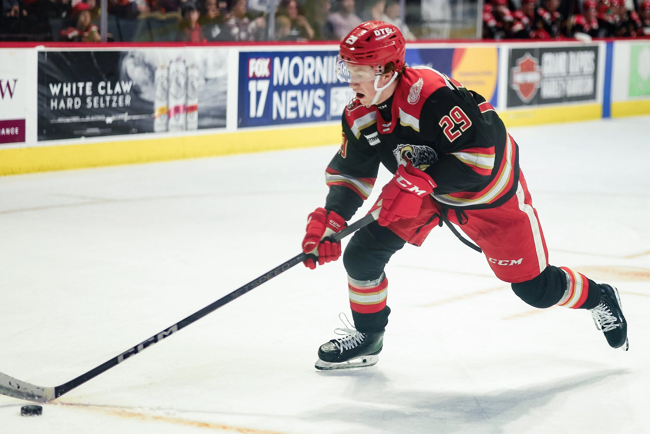   Alana Dackiw, Elevated Media  