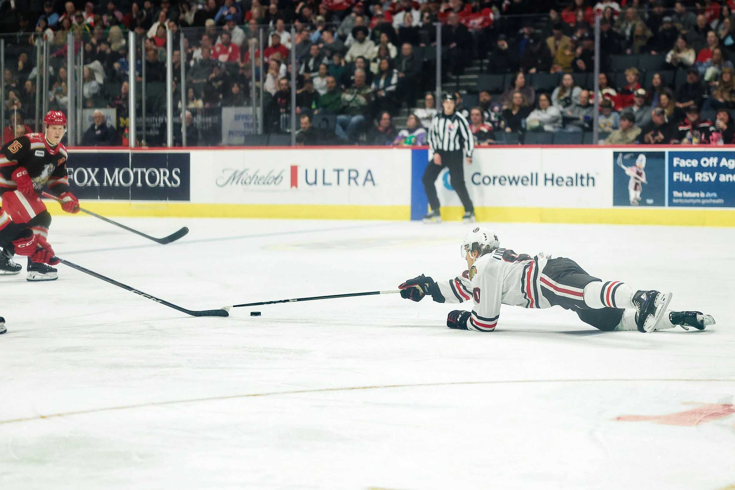   Alana Dackiw, Elevated Media  