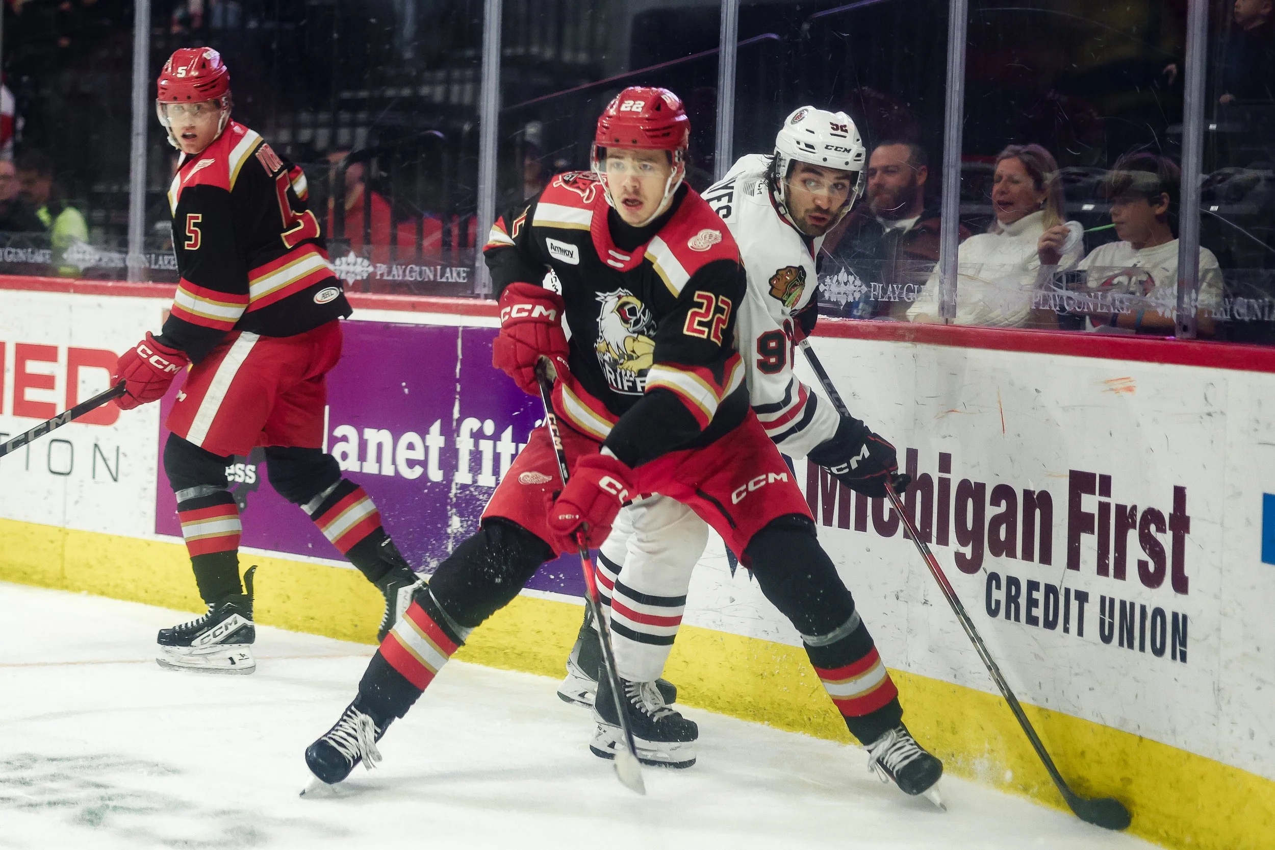   Alana Dackiw, Elevated Media  