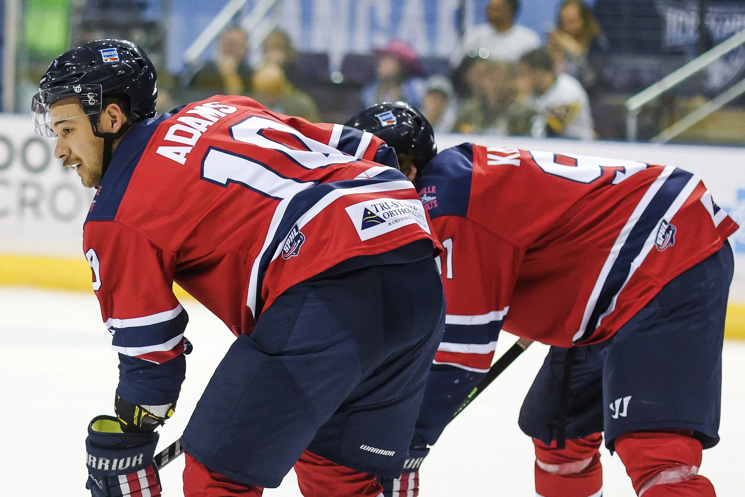   Photo by Alana Dackiw  