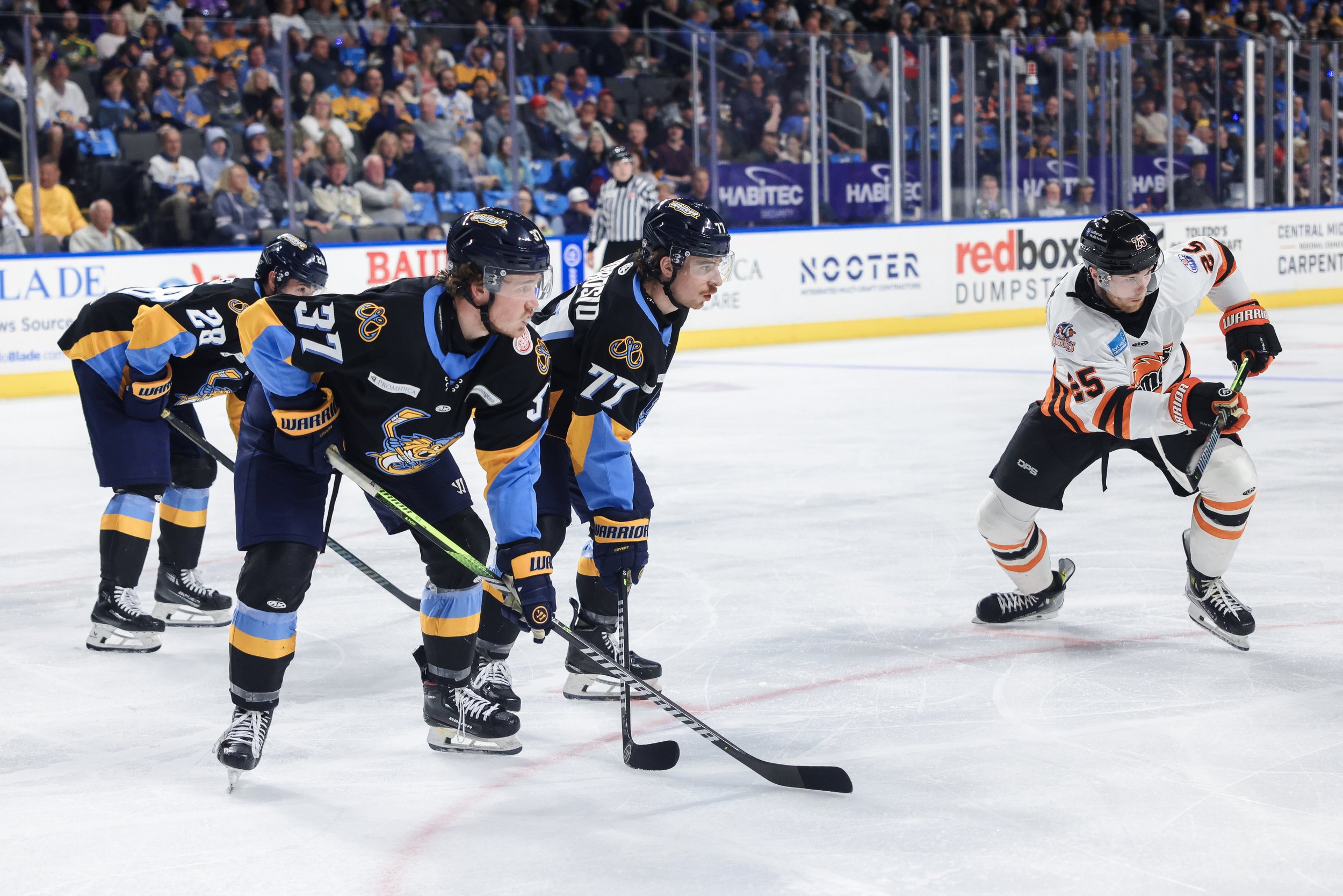   Alana Dackiw, Elevated Media  