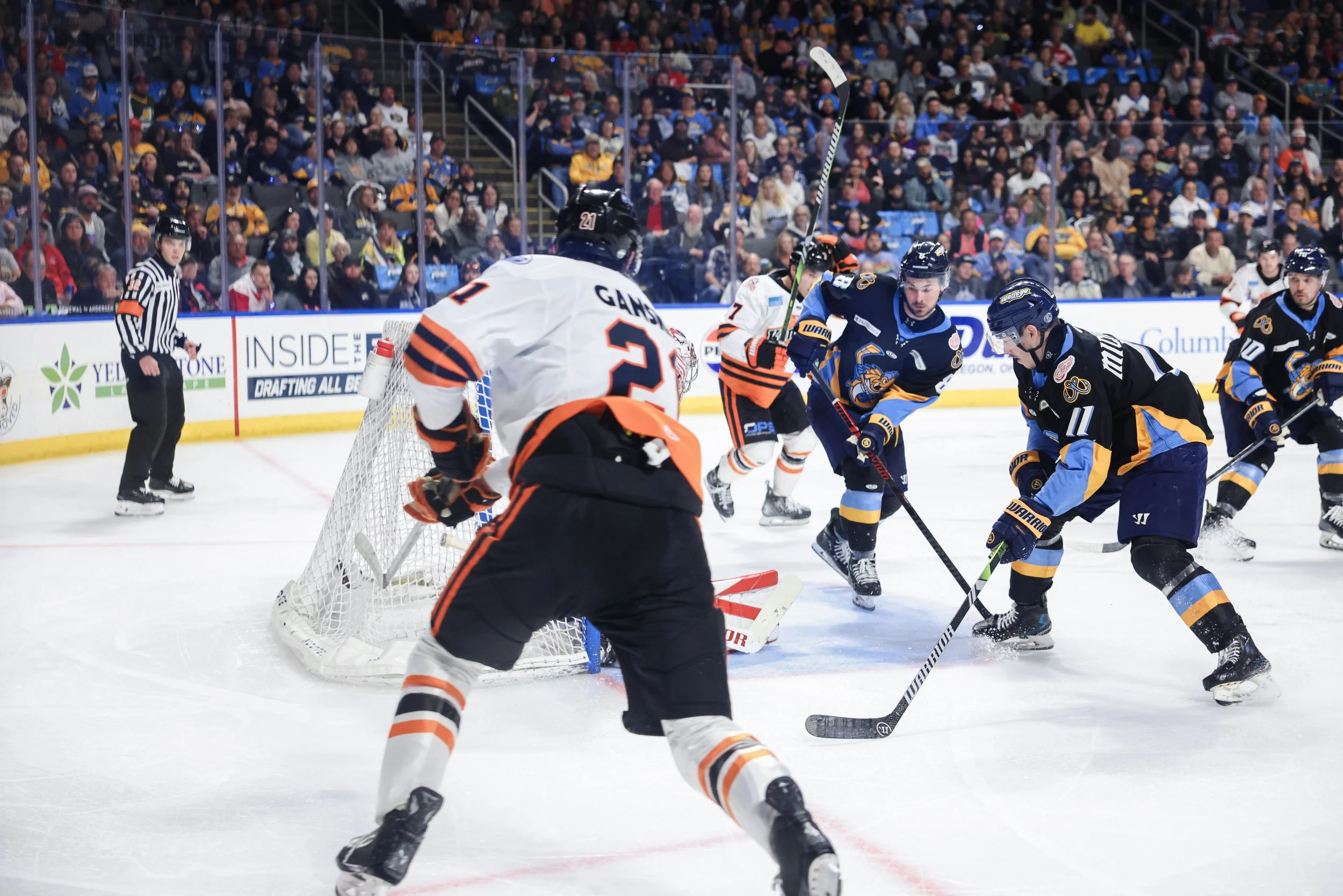   Alana Dackiw, Elevated Media  