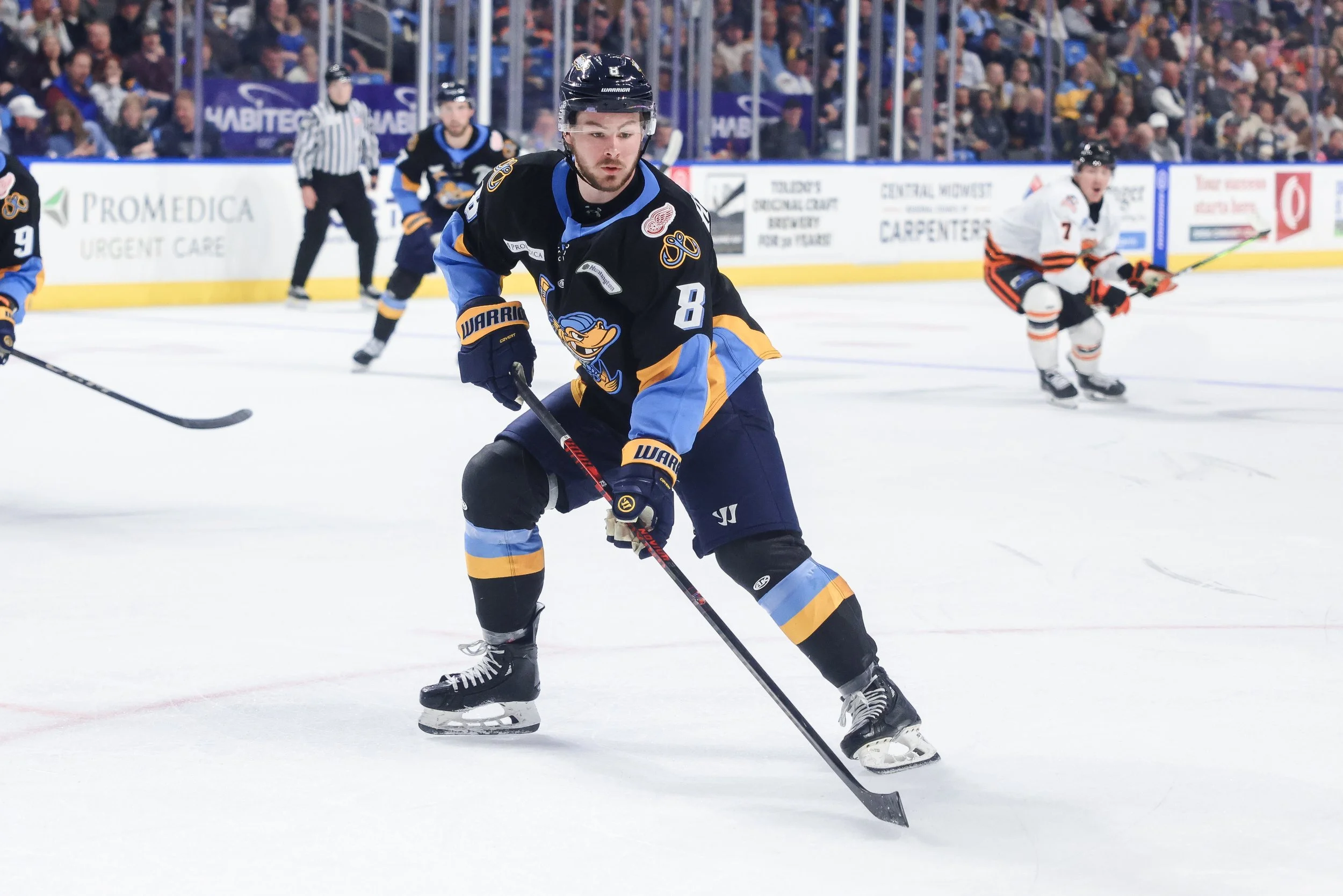   Alana Dackiw, Elevated Media  