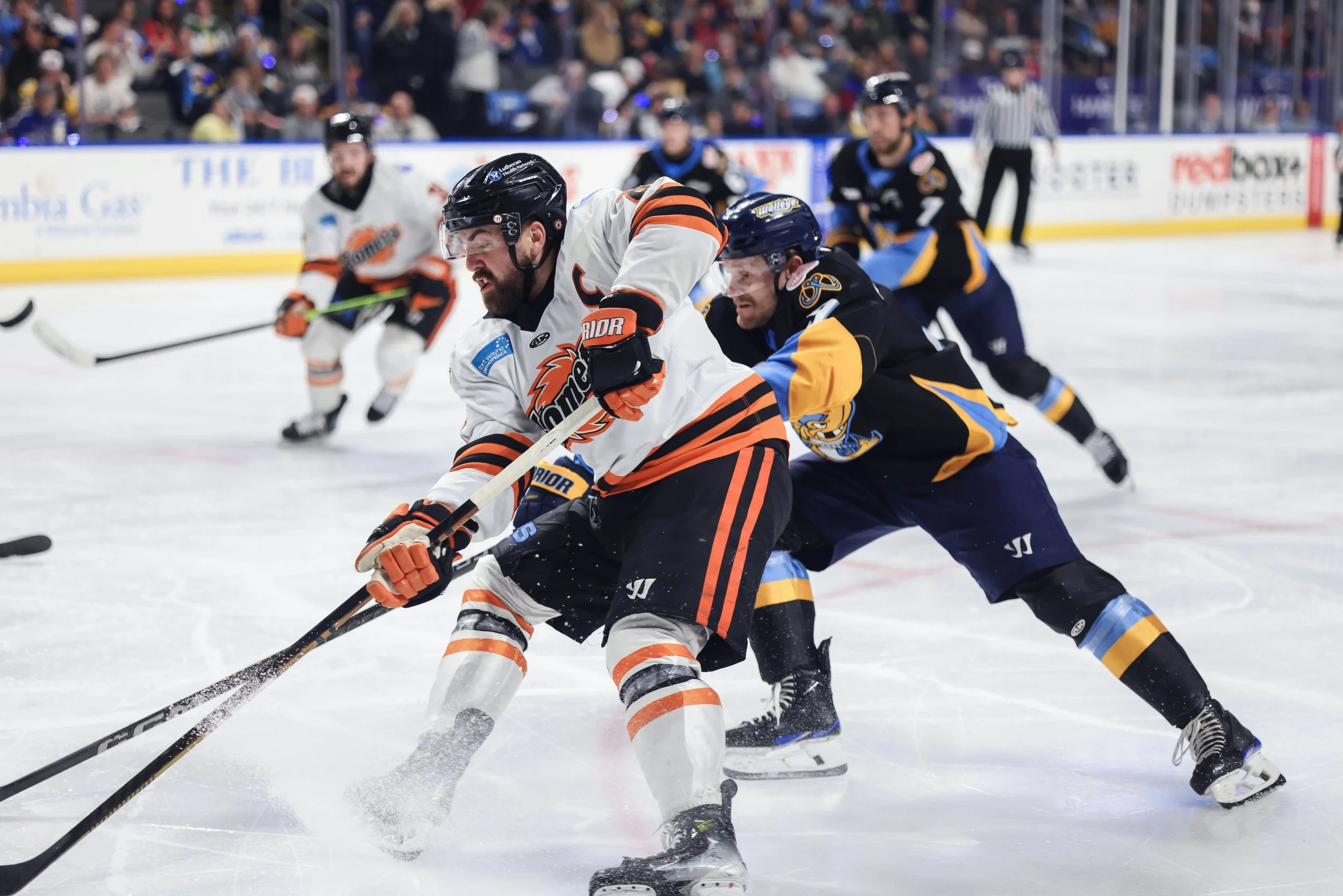   Alana Dackiw, Elevated Media  