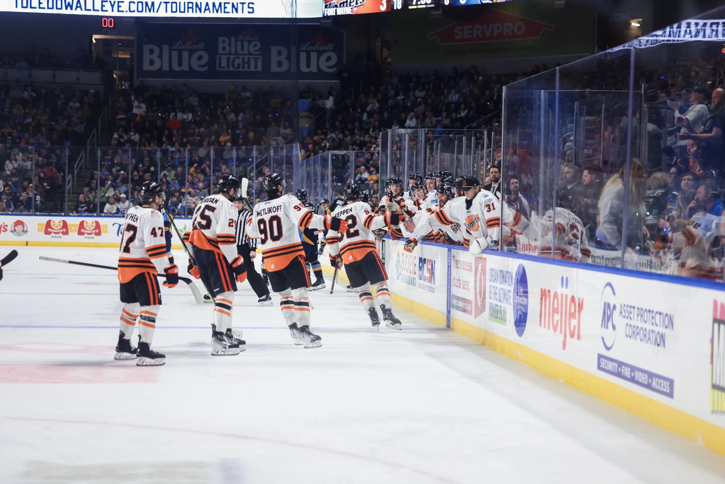   Alana Dackiw, Elevated Media  