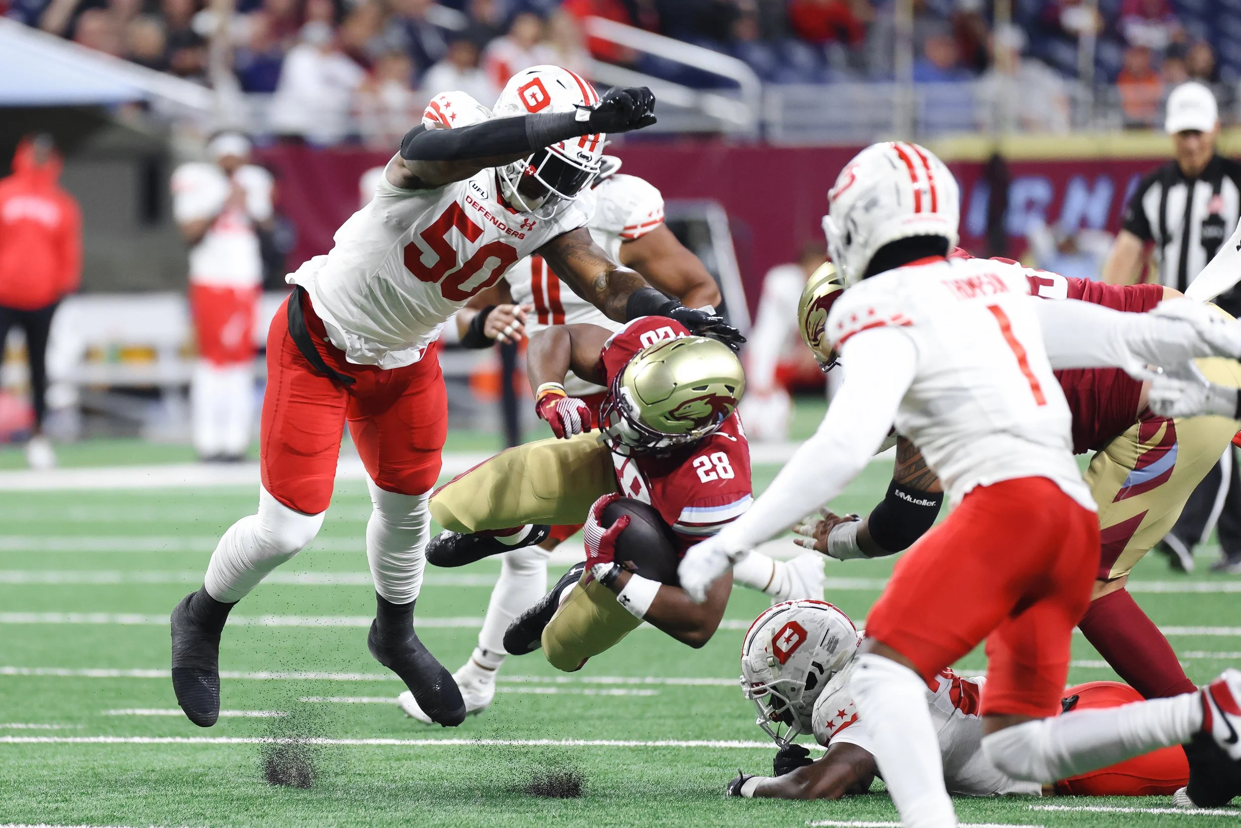   Alana Dackiw, Elevated Media  