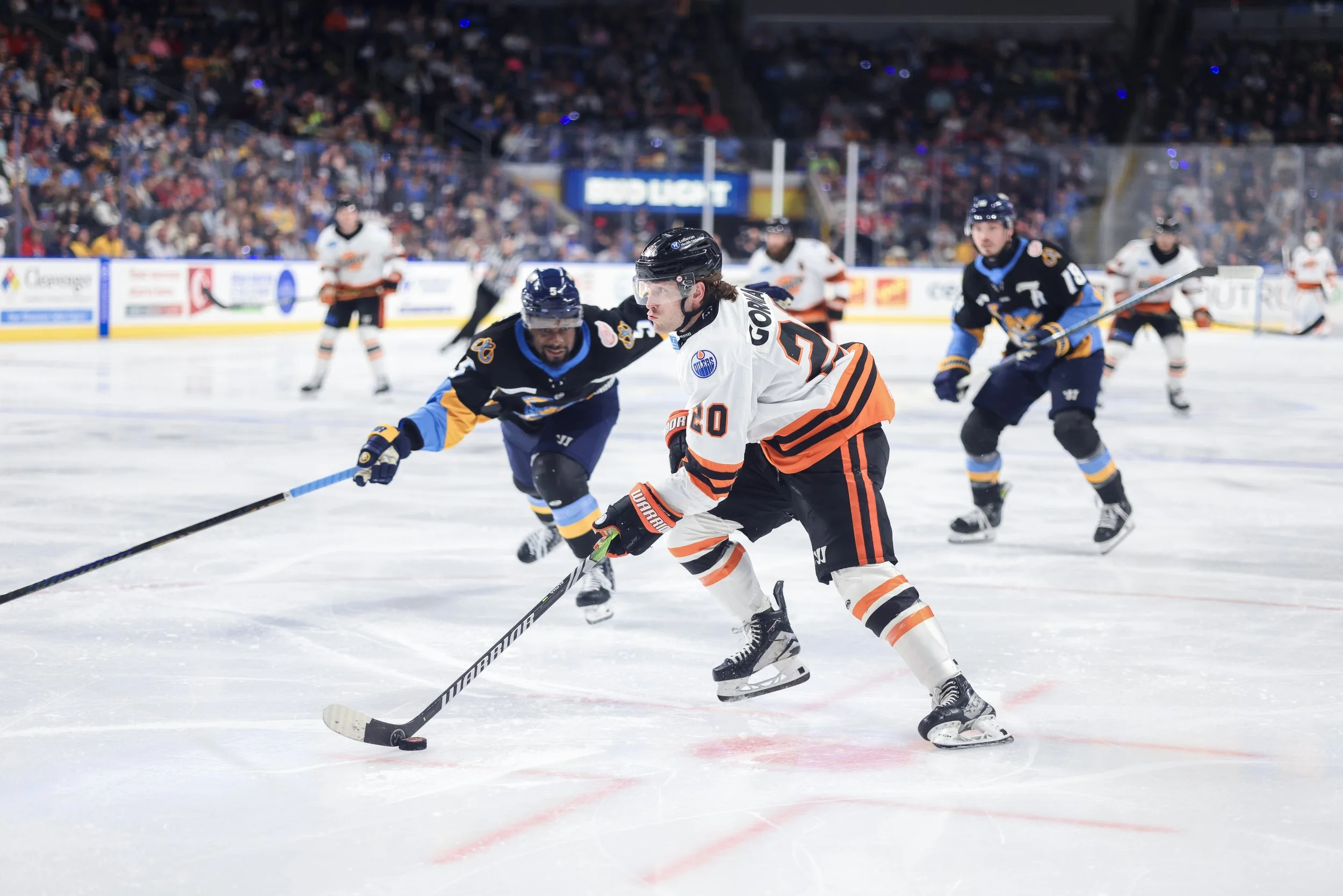   Alana Dackiw, Elevated Media  