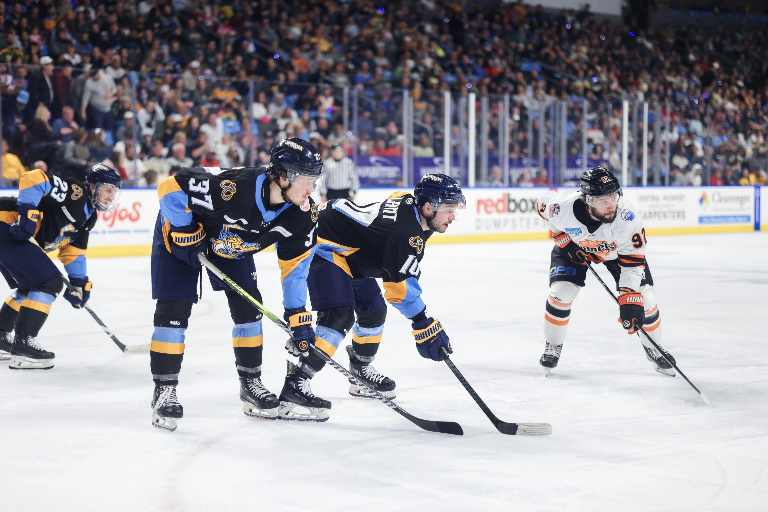   Alana Dackiw, Elevated Media  