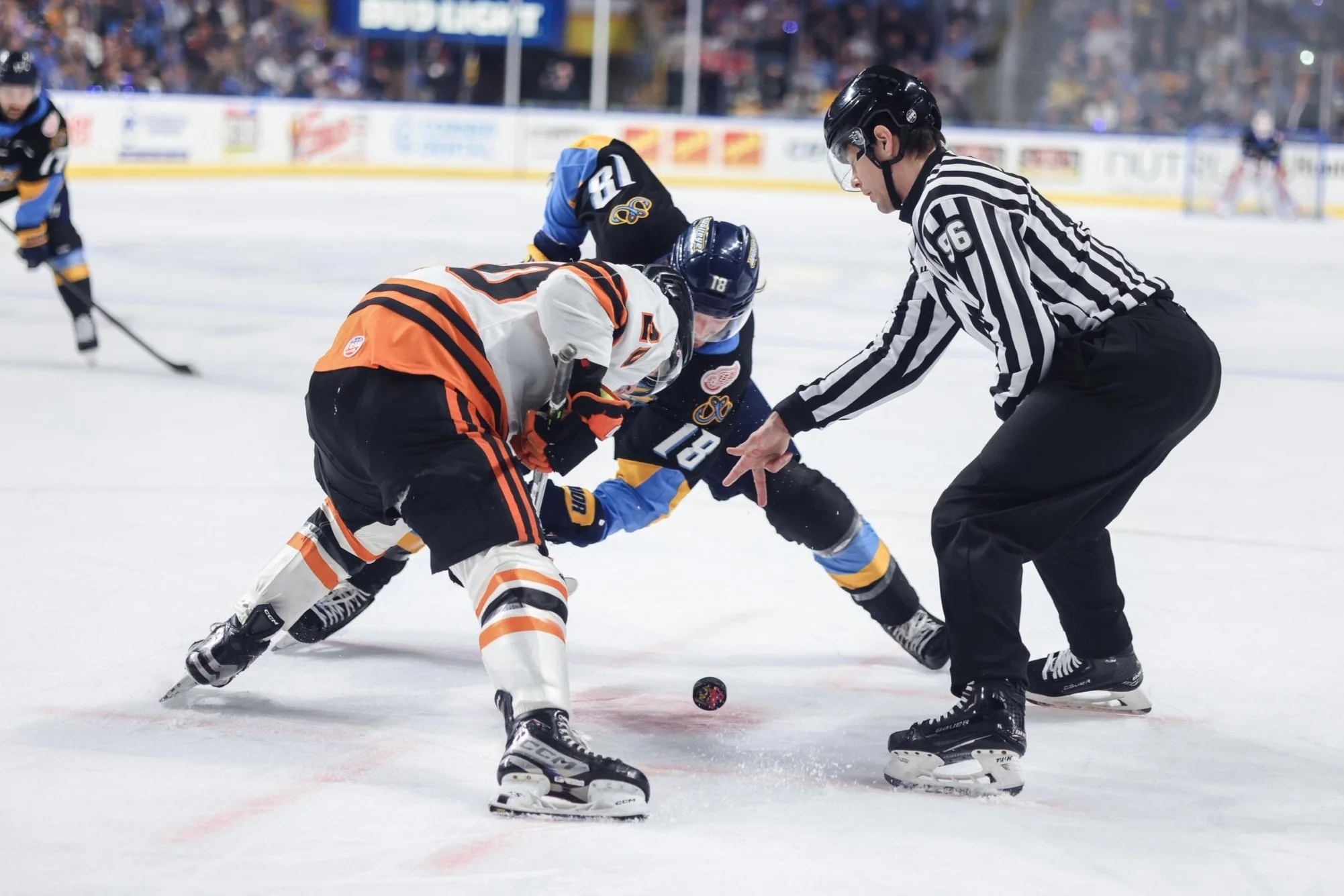   Alana Dackiw, Elevated Media  