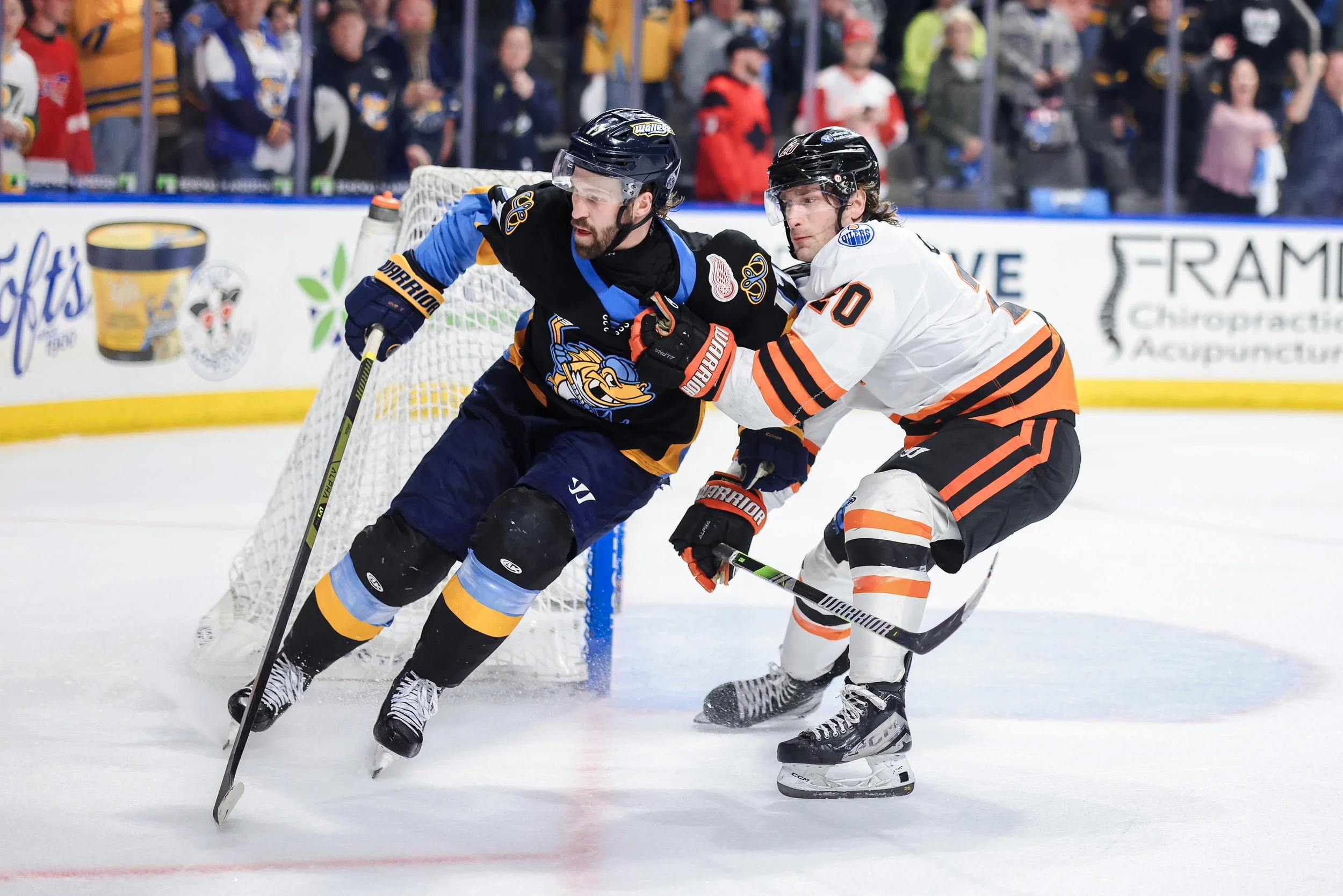   Alana Dackiw, Elevated Media  