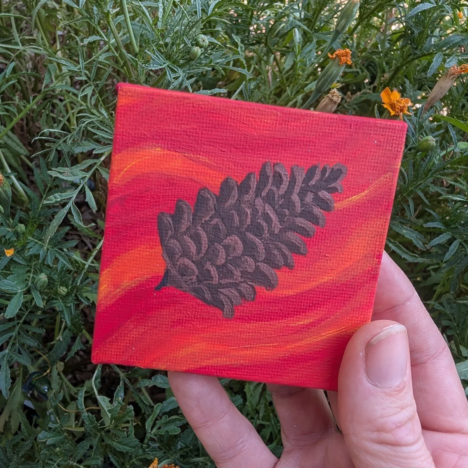 Did you know some pinecones have a fiery secret? 🔥 They actually rely on forest fires to open up and release their seeds, making way for the next generation of evergreens! How amazing is nature's resilience?! I just had to capture that powerful ener