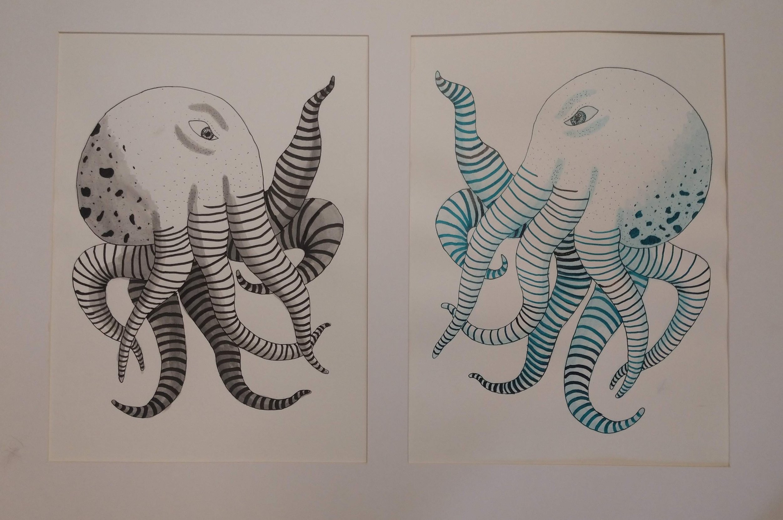 Octopus battle