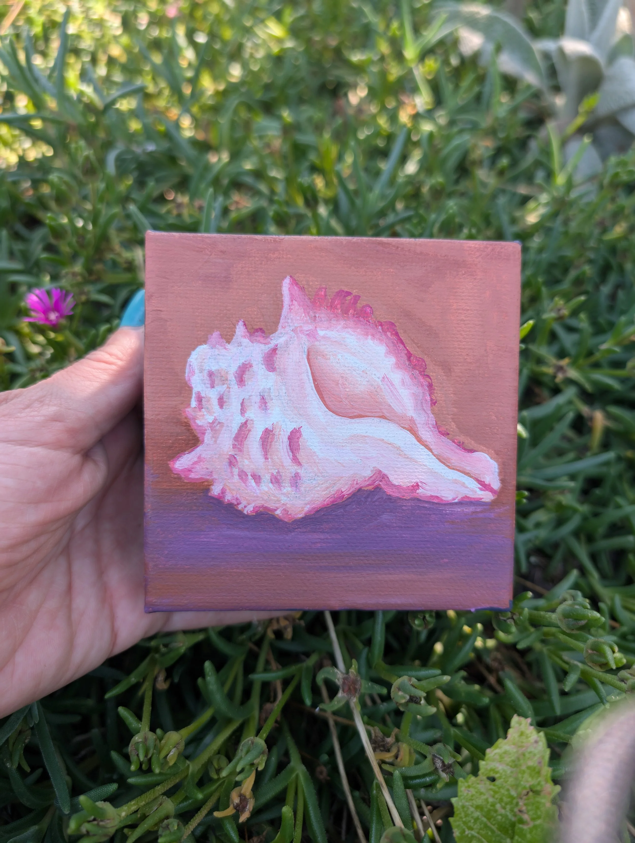 A small painting of a seashell, primarily in shades of pink and white, held in front of green foliage and small purple flowers.