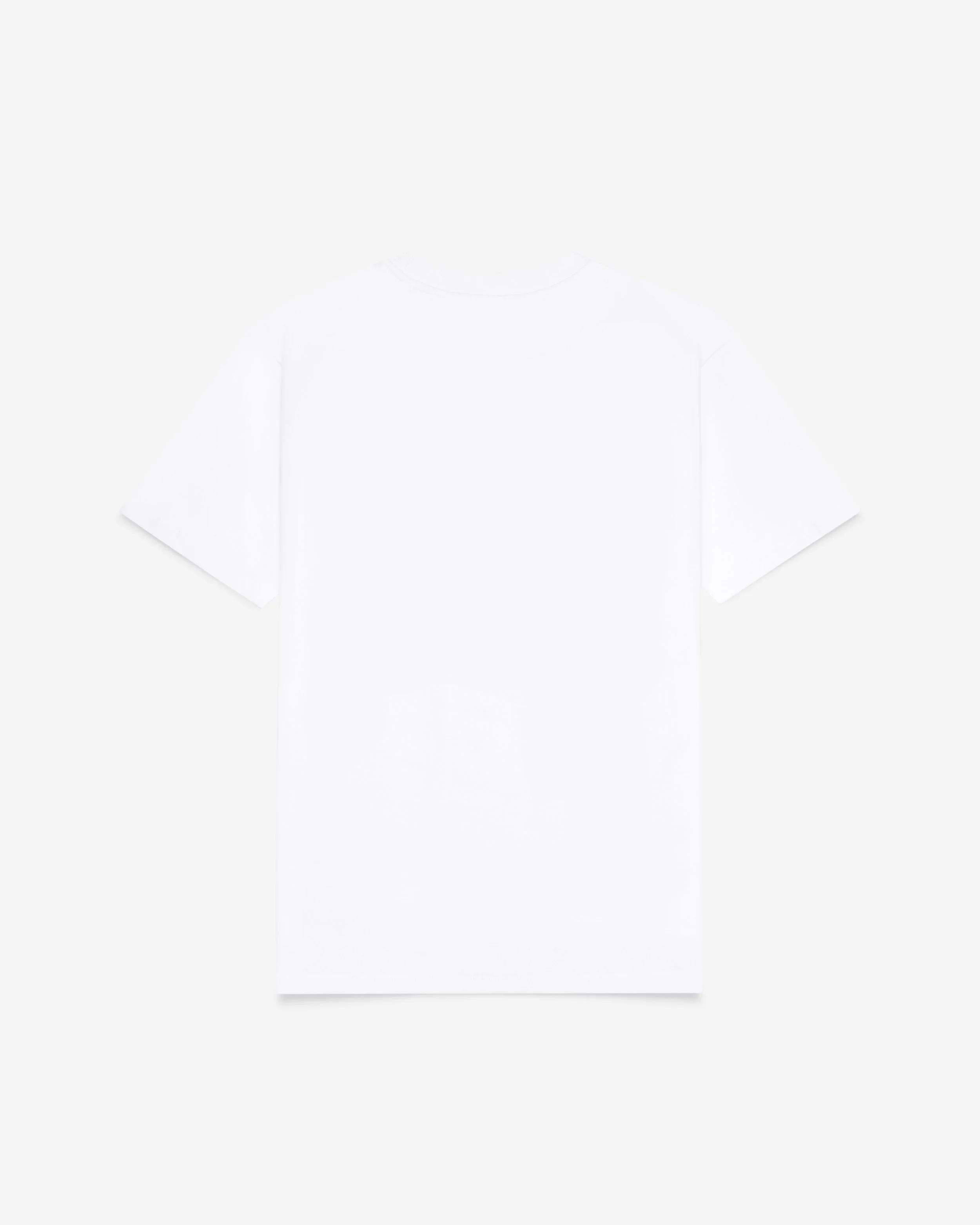 Pretty_Standard_Feb_0Grey_013.jpg