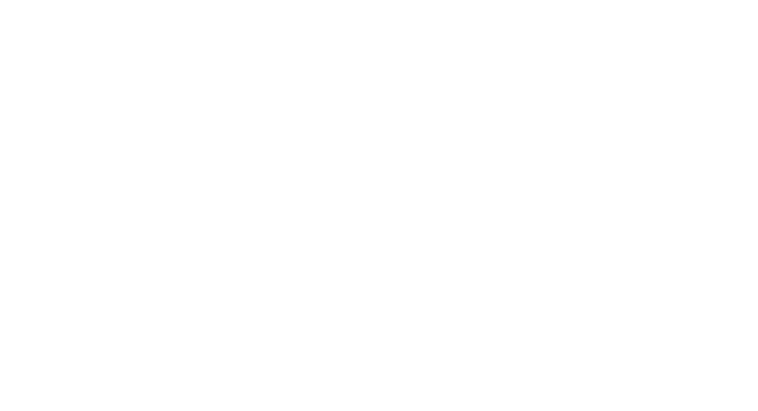 QAP LATINO SERVICES