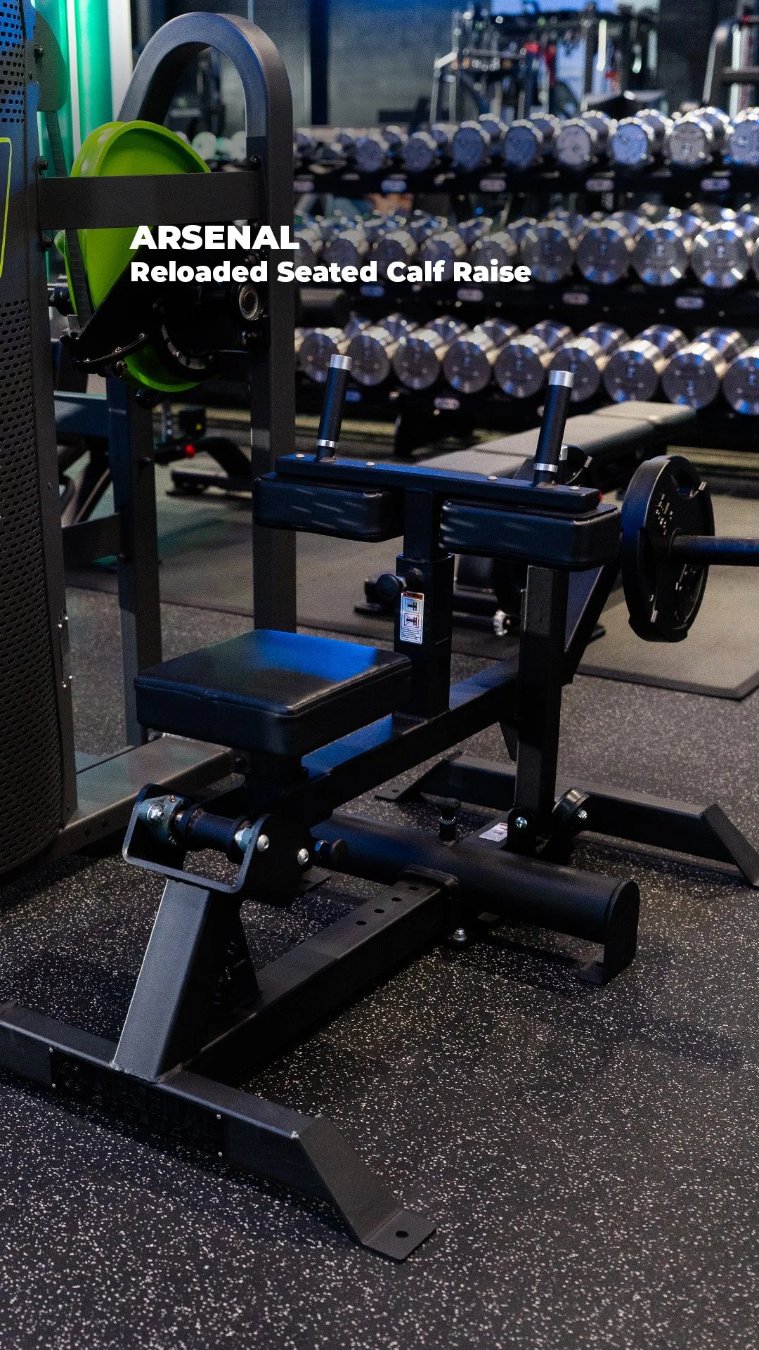 Calf Raise.jpg