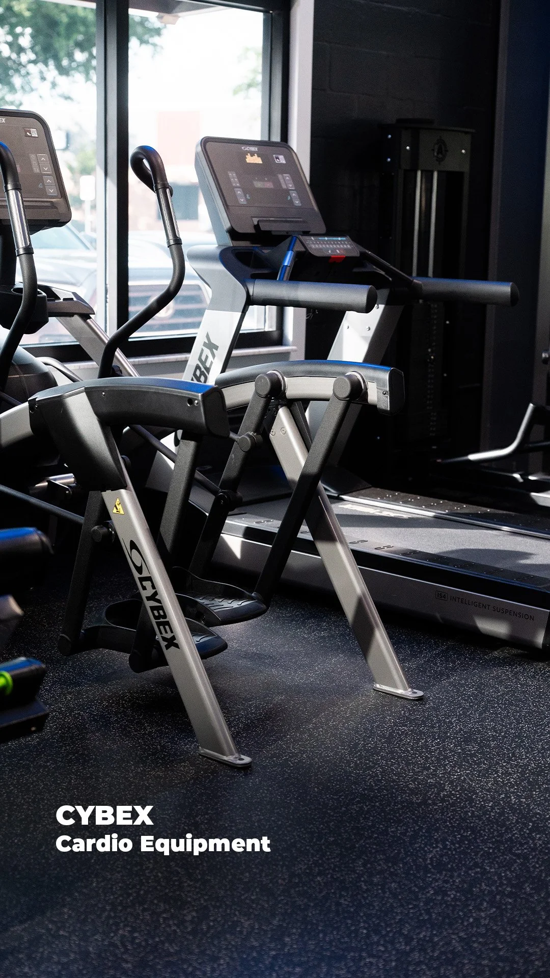 Cybex.jpg