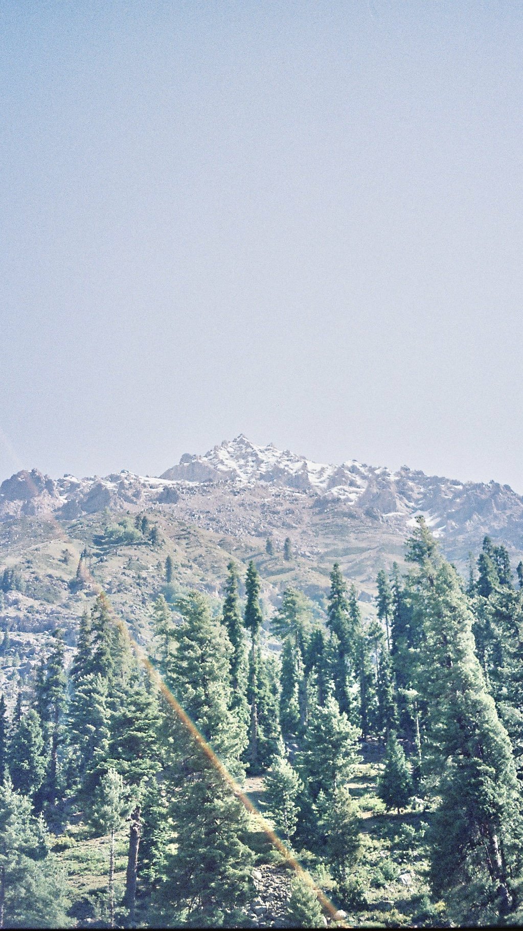 R1-06450-0022.jpg