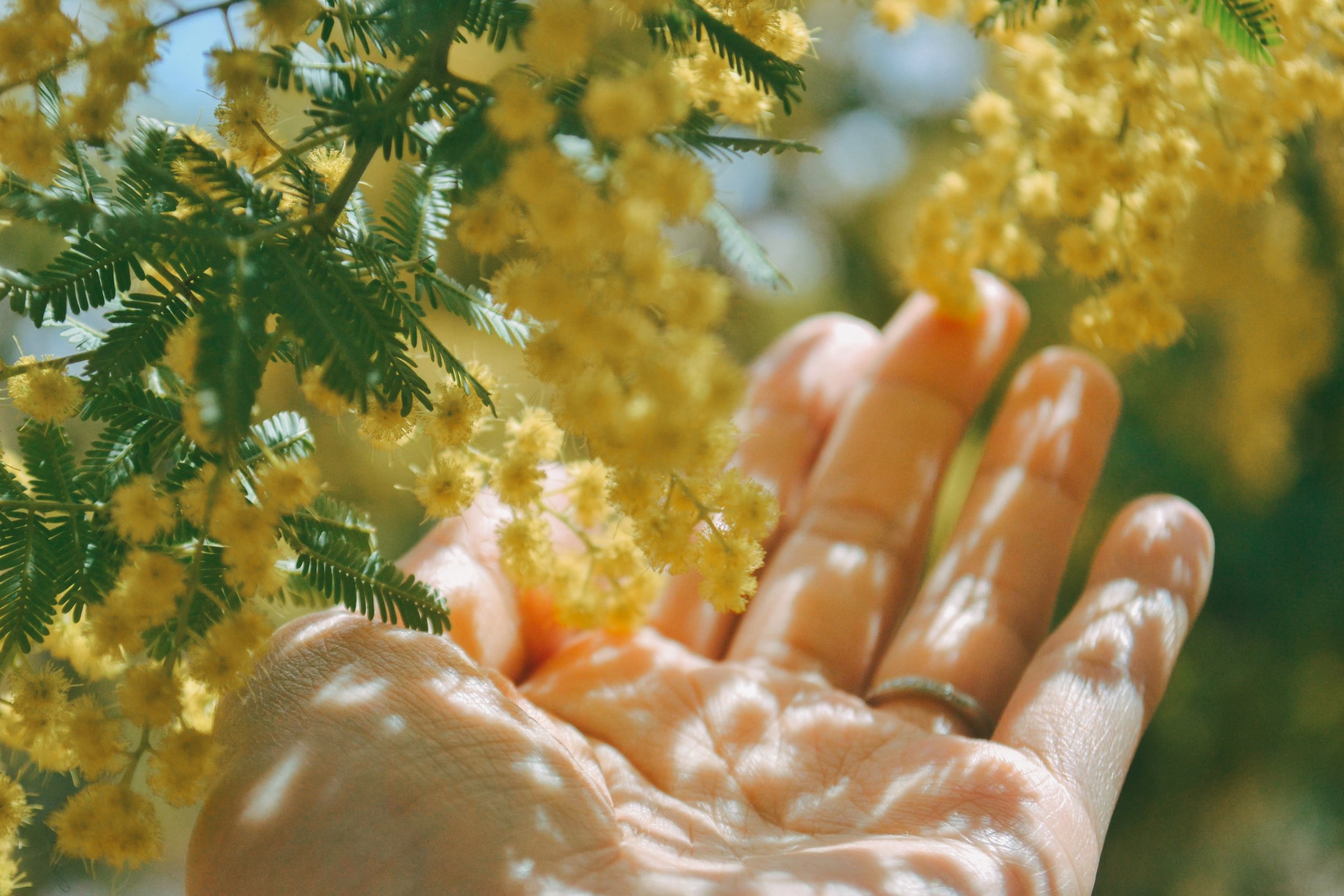 DSC_3542_Original - asm moomin.jpeg