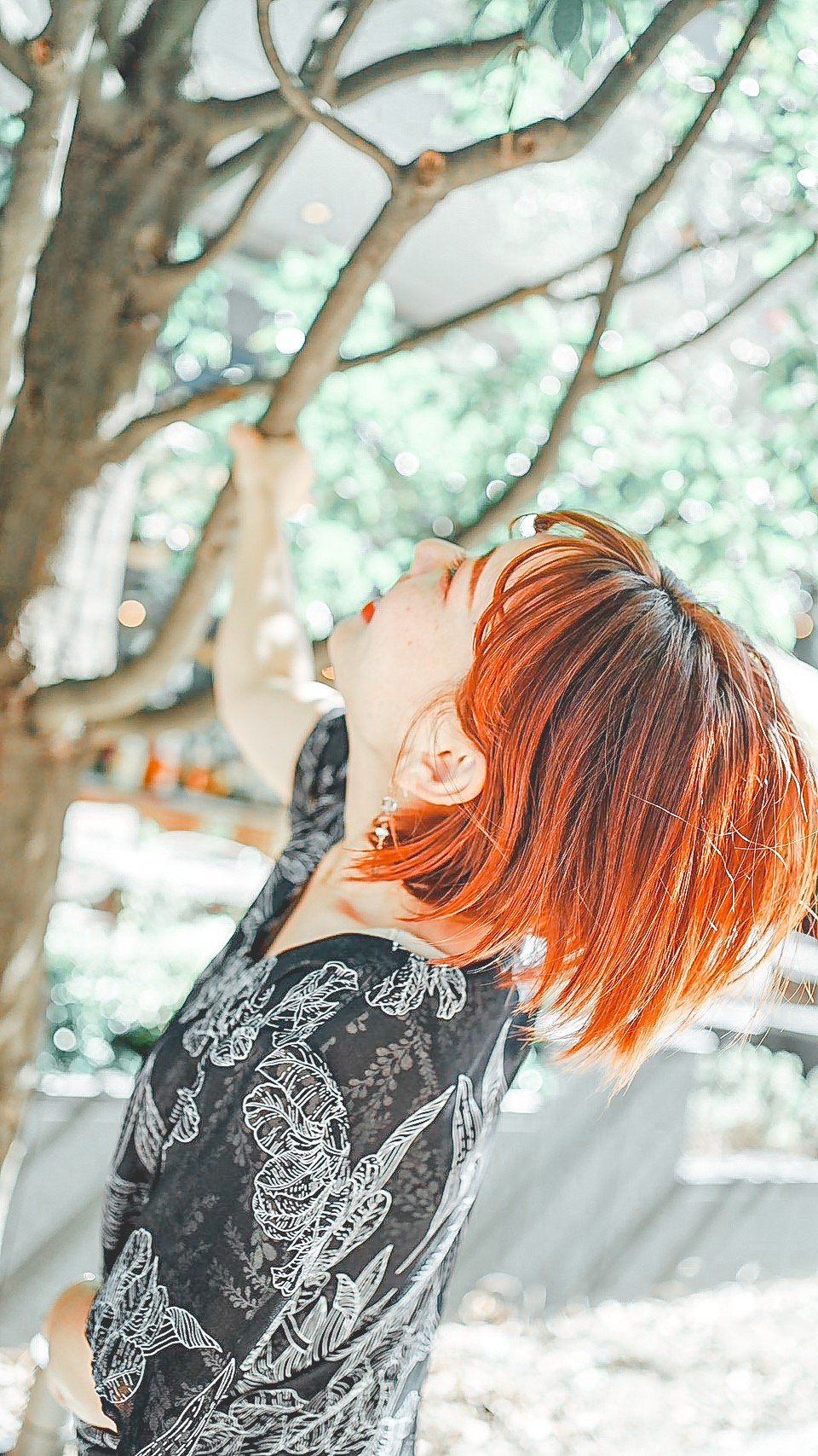 4805569043478768011.da0b54ce1b374058aa35141d8b5e21fb.22101703 - mai.jpeg