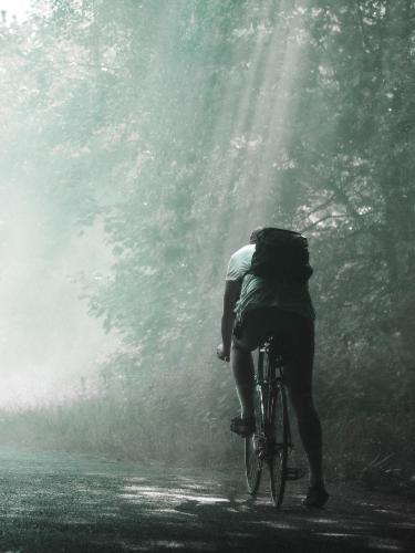 WELLCALM in home mva hcai recovery