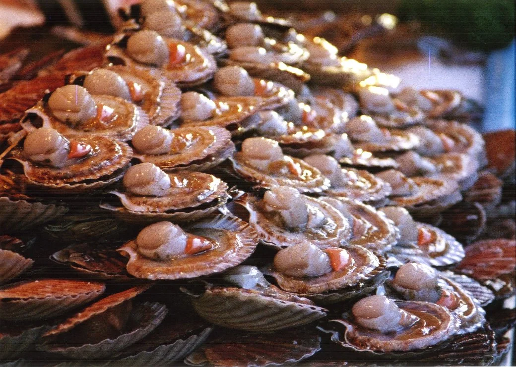 clams.jpg