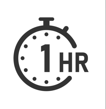 Single Violin Lesson-1 Hour