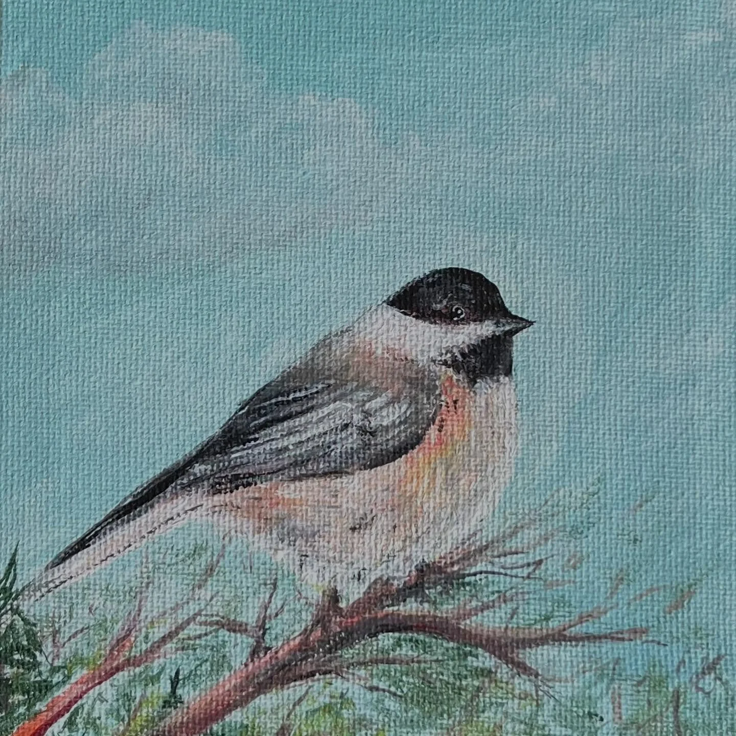 'Chickadee'
14/100
5"x5"
I've been putting birdseed out on a bridge by the lake
in hopes that the chickadees (and friends) will start greeting us on our daily walks ☺️