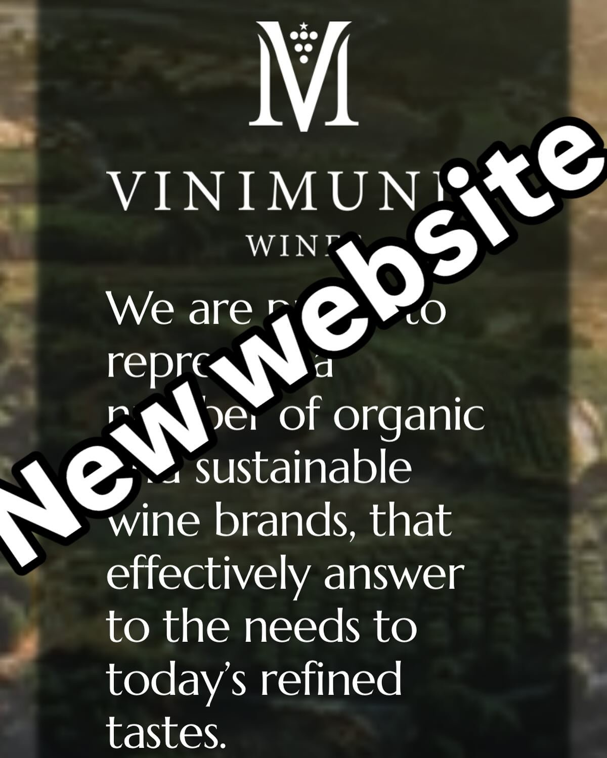 We are excited to present our new website, now complete with downloadable updated tech sheets and shelf talkers. 

Link in our bio, or head straight to vinimundiwines.com

#organicwine 
#winelover 
#italianwine 
#frenchwine 
#austrianwine
#spanishwin