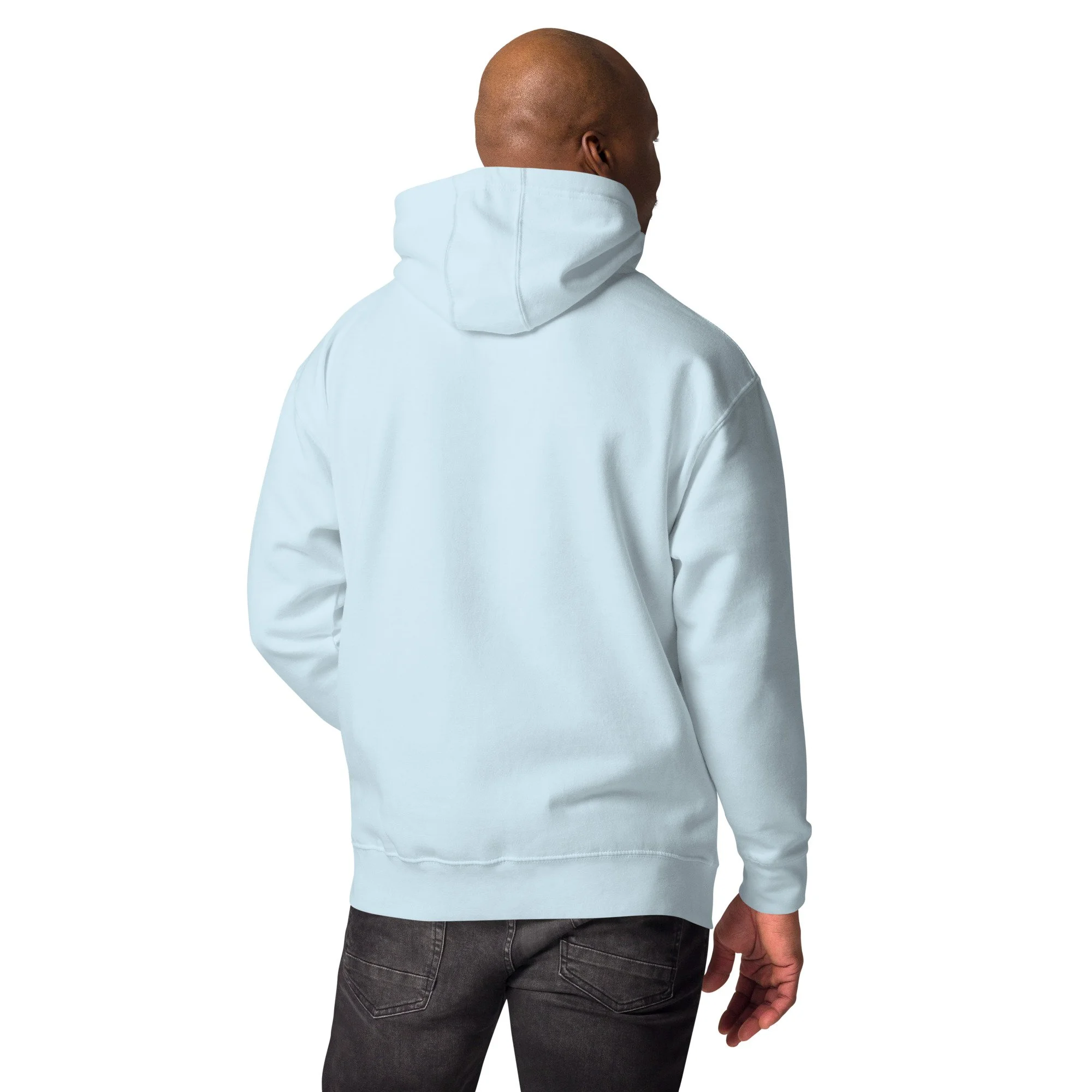 cotton-heritage-m2580-i-unisex-premium-pullover-hoodie-sky-blue-back-6943257430c69.jpg