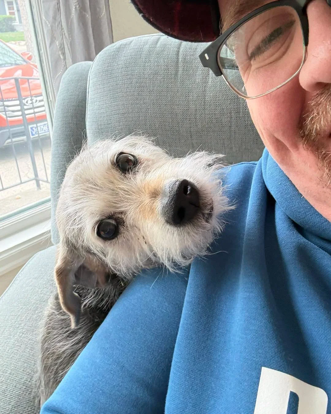 My favorite old bitch Pie 😍 #dogwalker #petcareprofessionals #barksandrecmt #seniordog