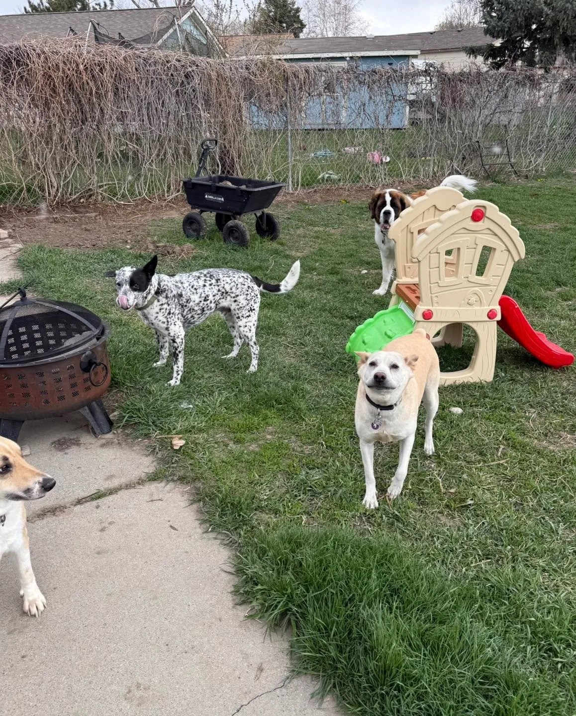 This rag tag group of misfits