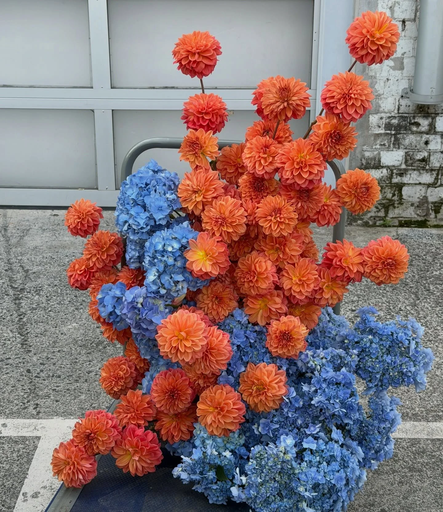 🧸🧡💙 @nicole.kalo