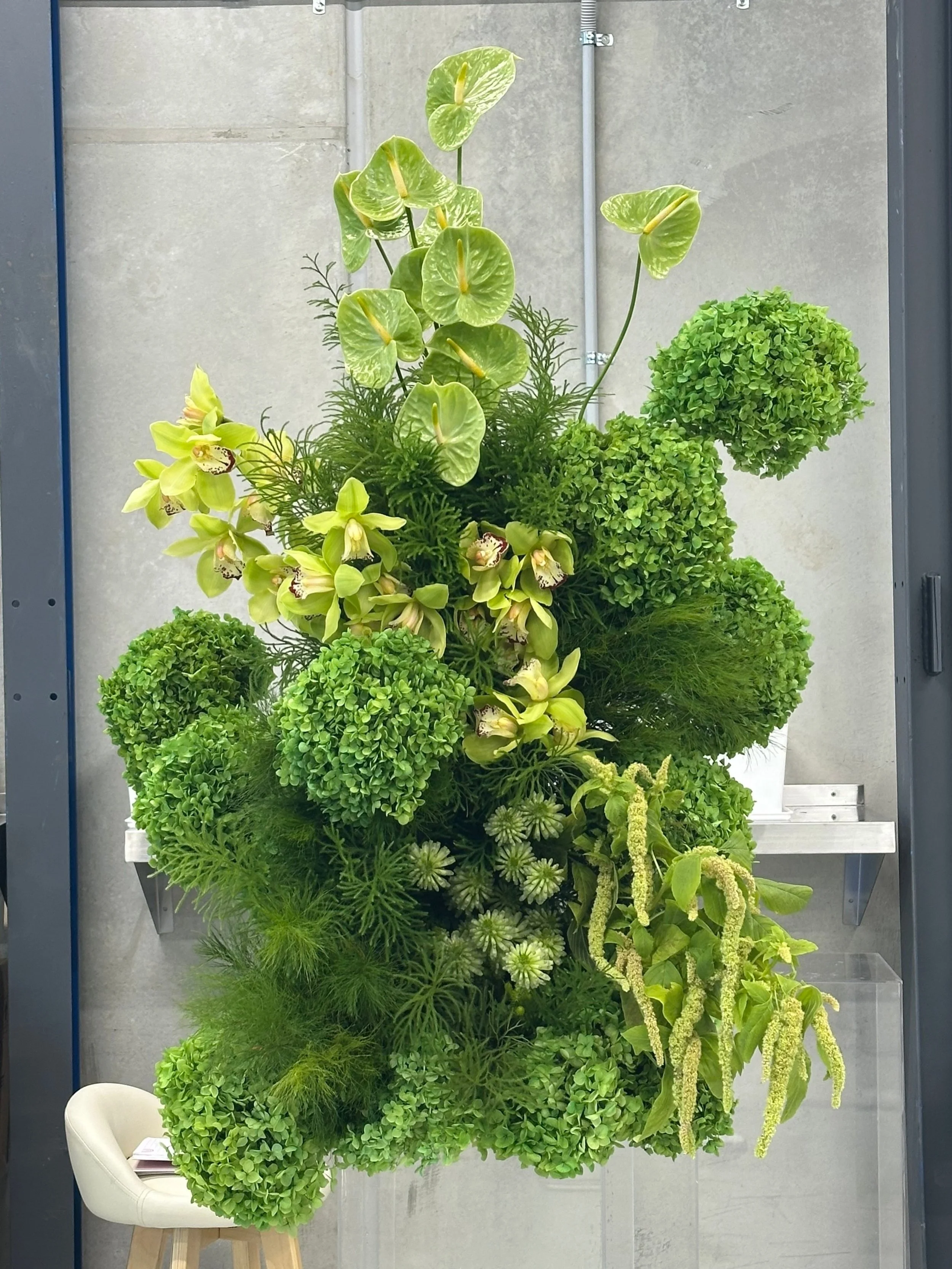 🍃🍃🍃