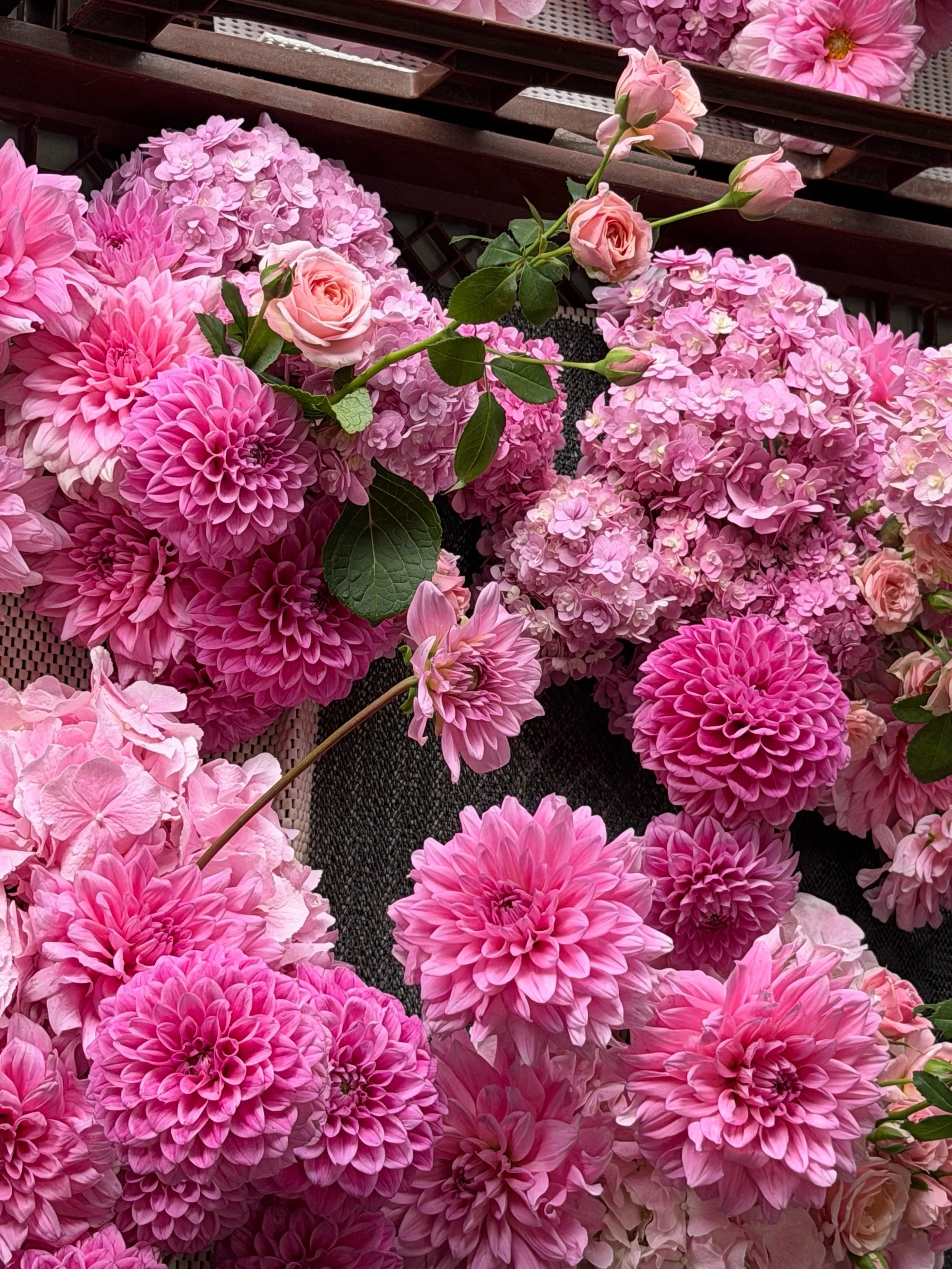 🌸🌸🌸