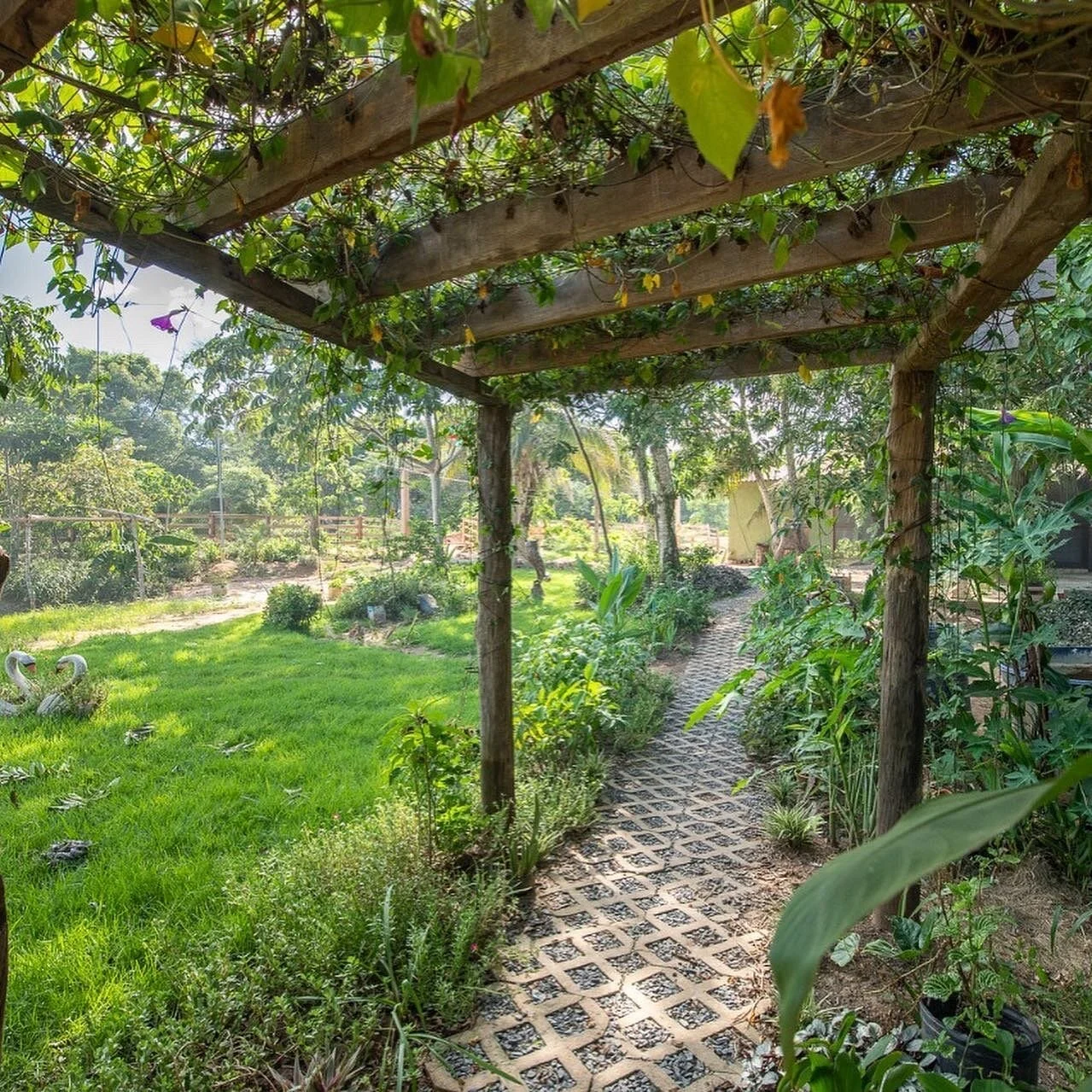 pantanal accommodations.jpeg