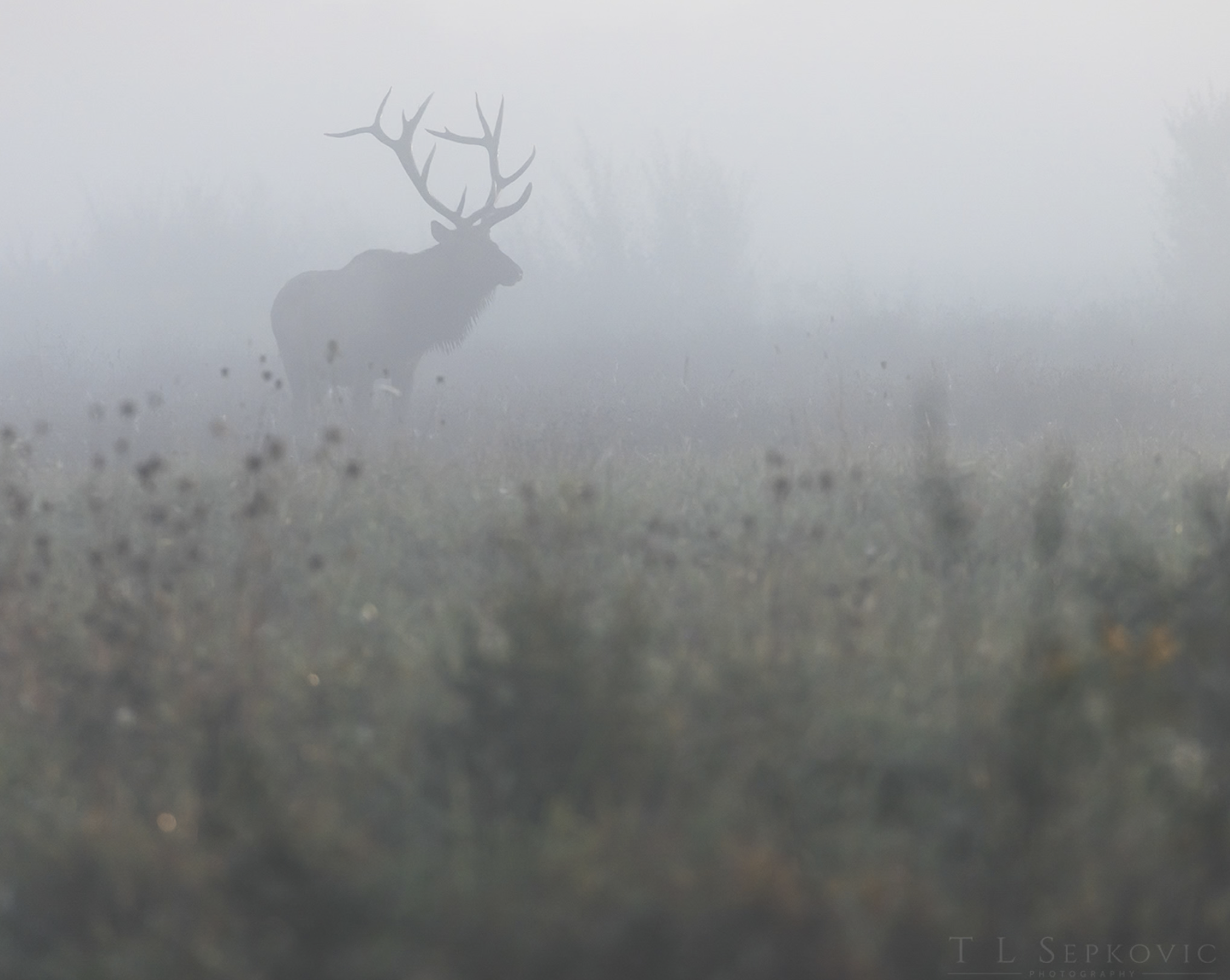 Screenshot 2026-03-26 at 2.20.23 PM.png