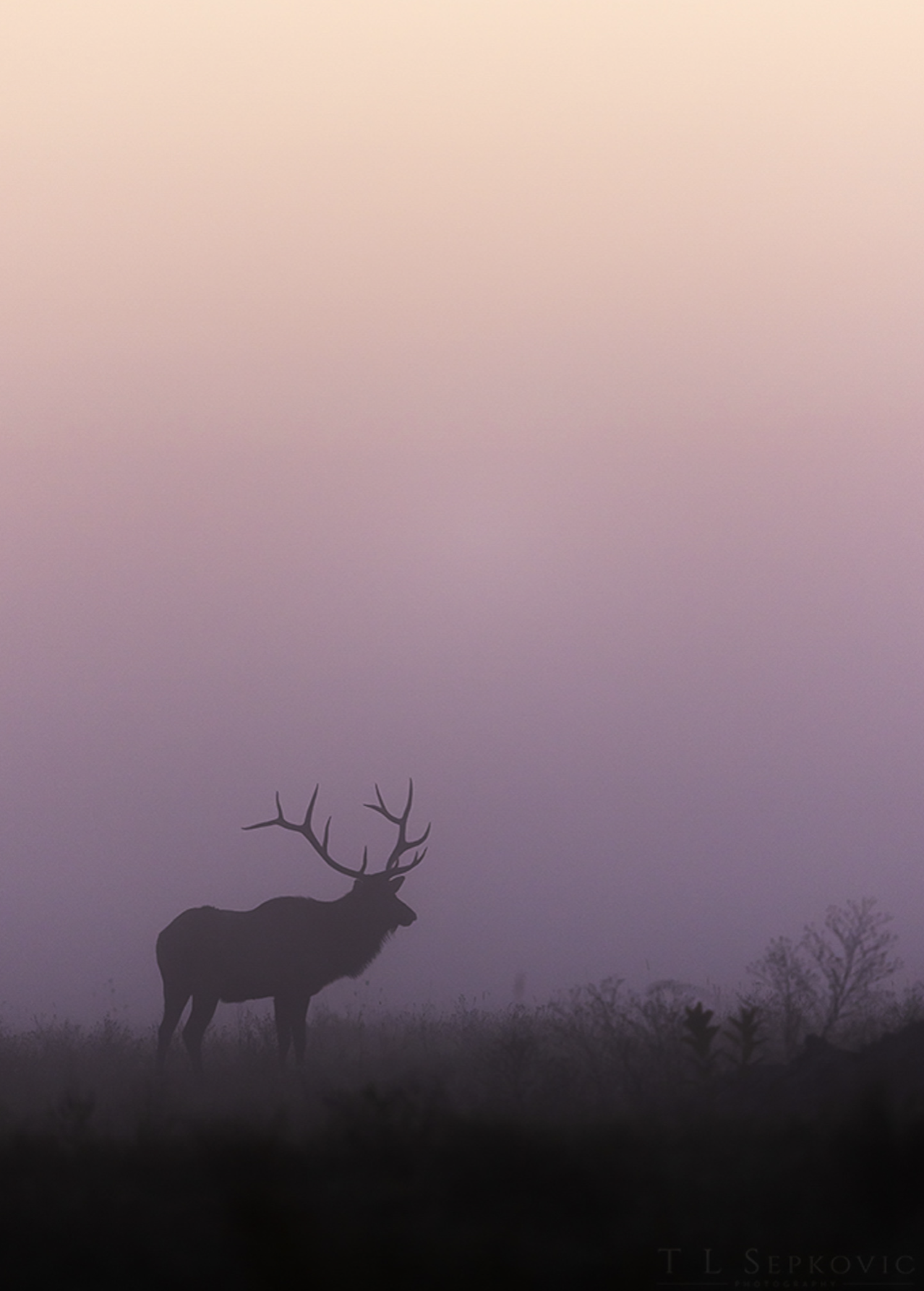 Screenshot 2026-03-26 at 2.20.33 PM.png