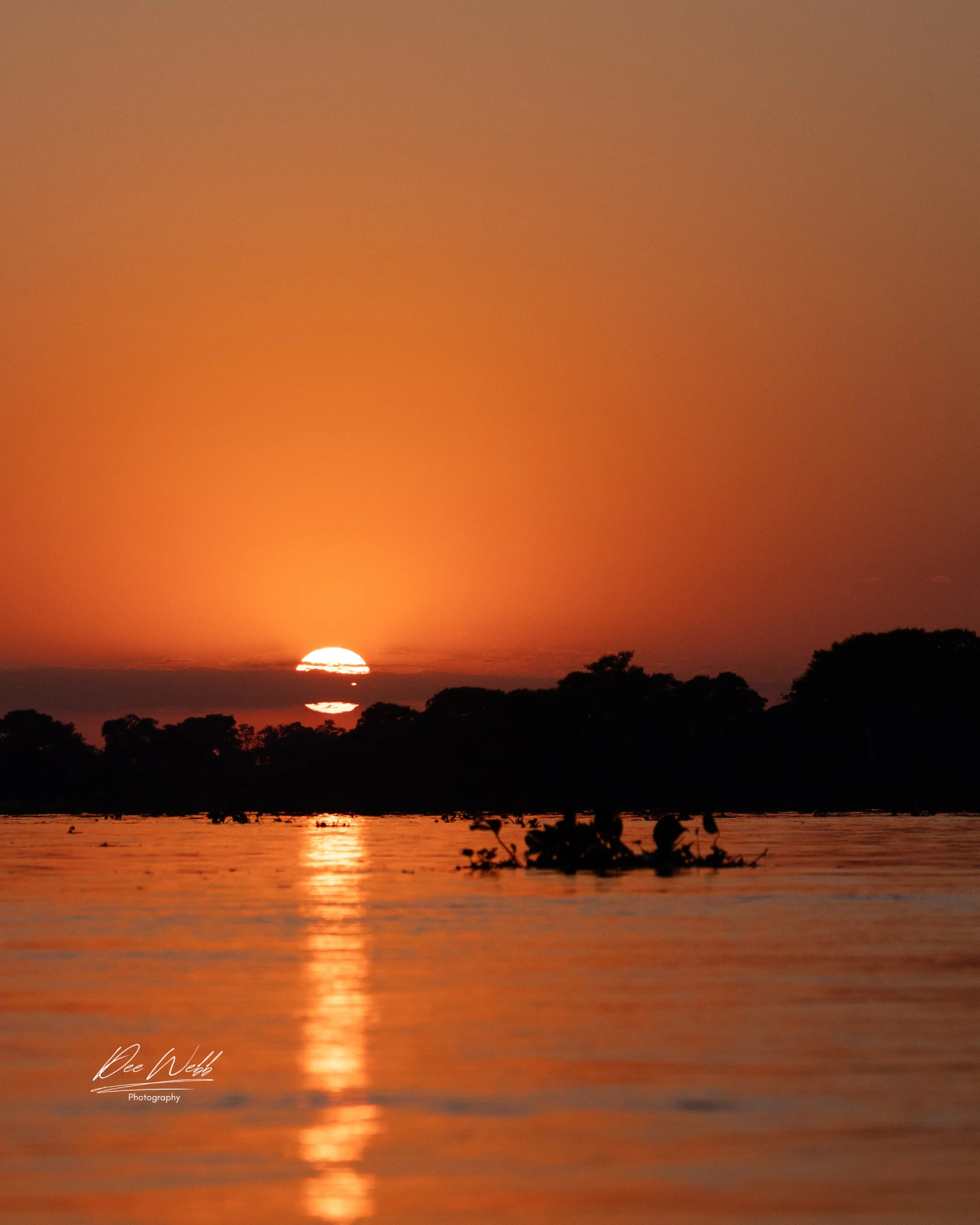 Sunrise Brazil 2.jpg