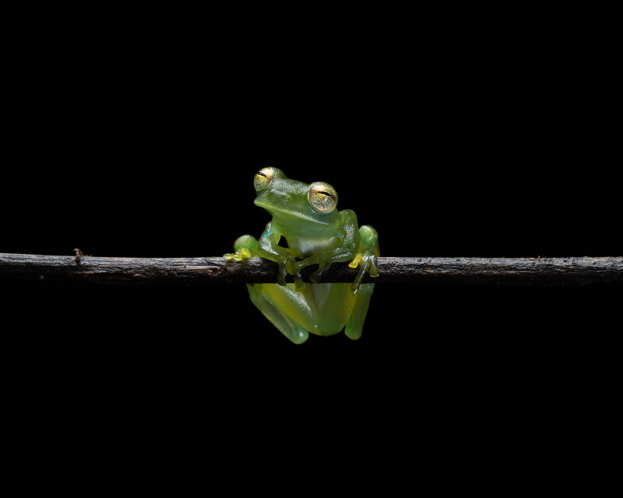 Costa Rica Macro - March 14-18, 2026