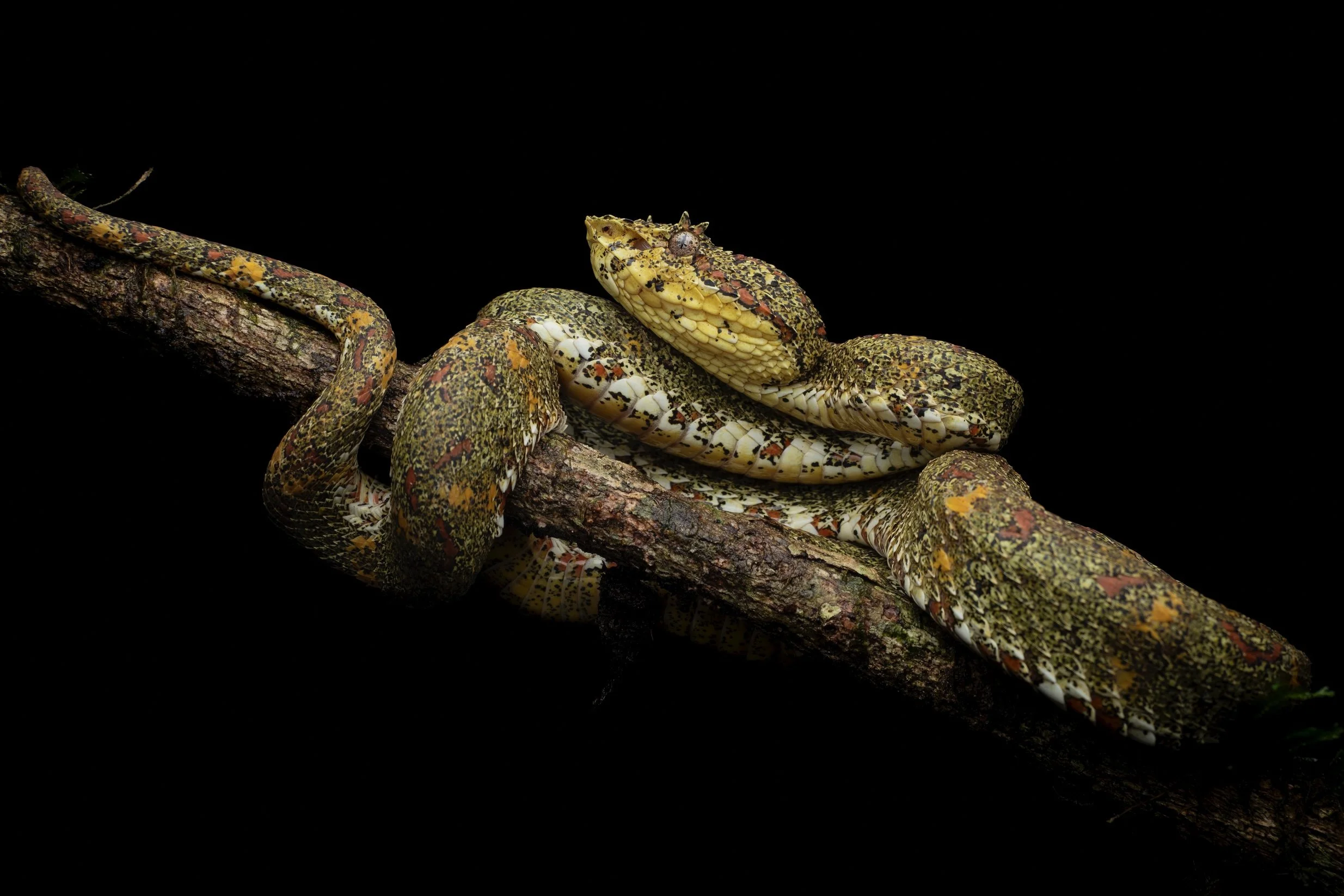 _DSC6108-Edit.jpg