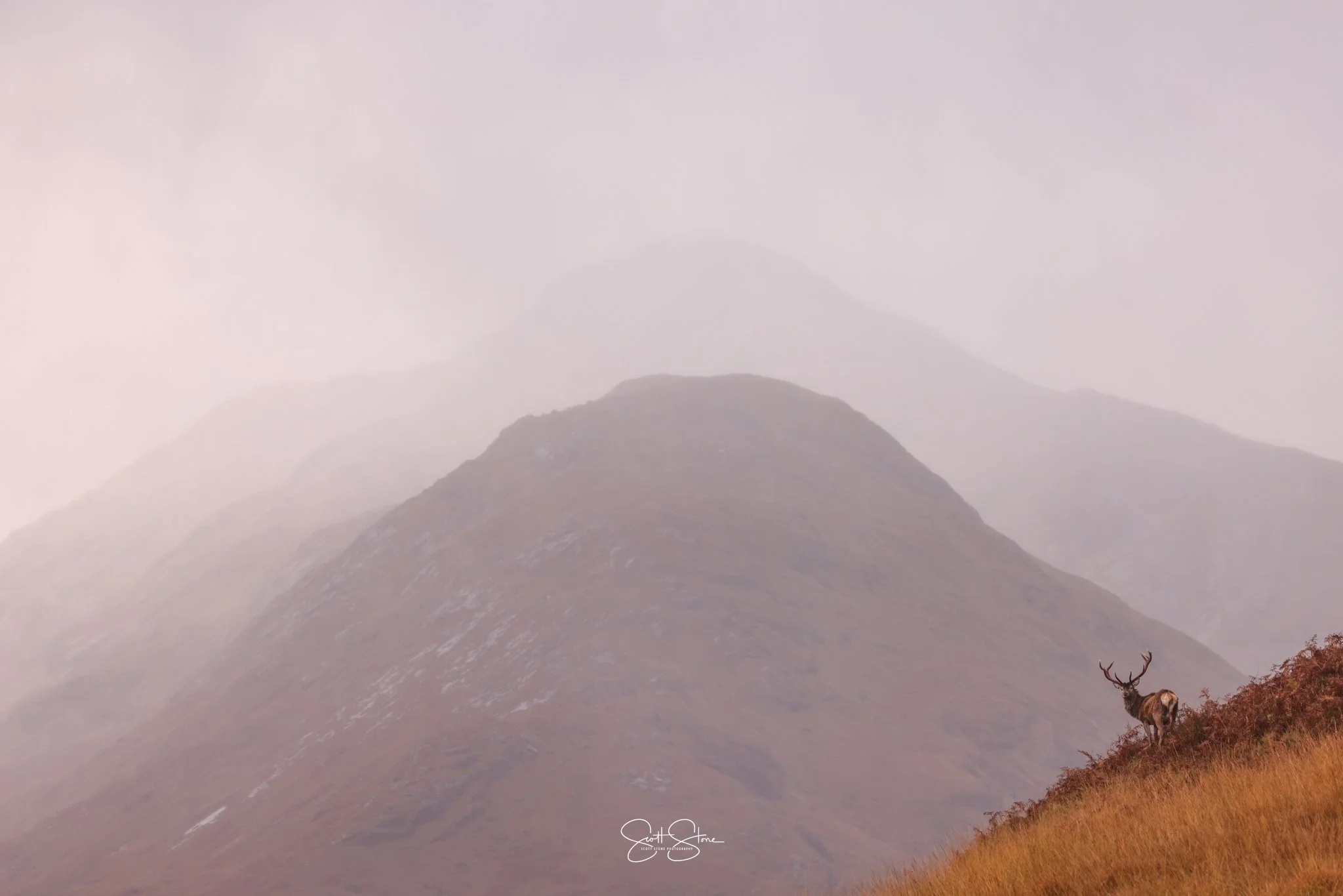 A foggy mountain landscape with a deer standing on a sloped grassy hillside in the foreground.