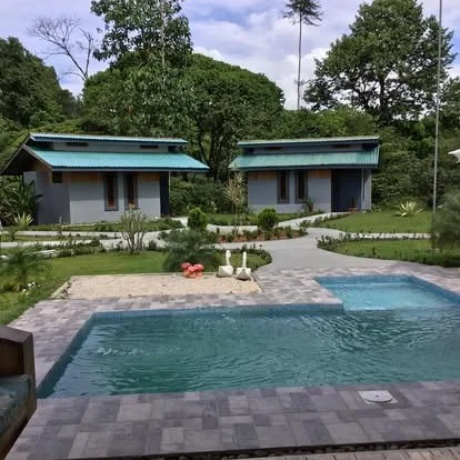 Two modern houses with blue roofs in a lush green setting, overlooking a swimming pool with clear water and outdoor decor including two swan sculptures and pink flamingo lawn ornaments.